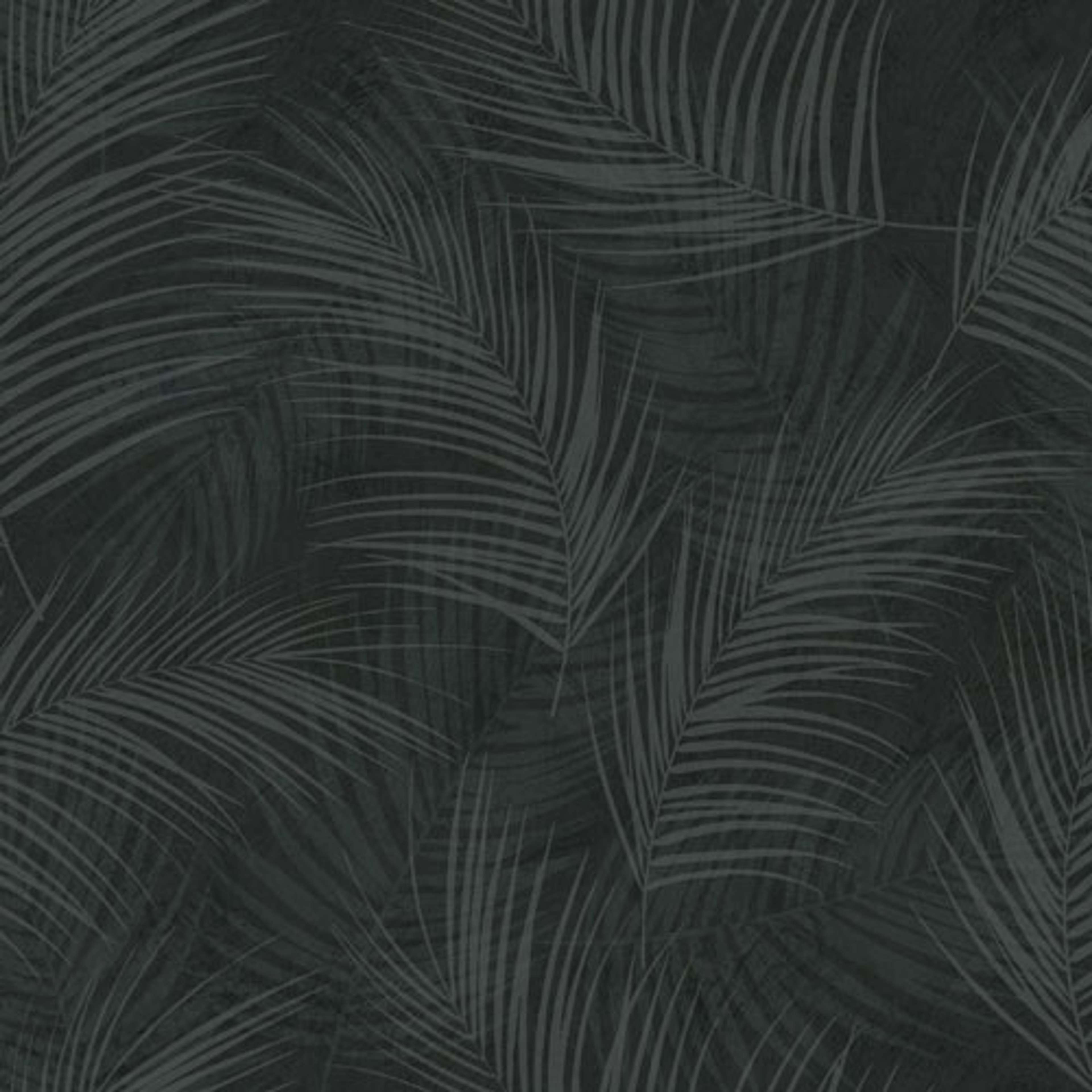 Palma tapet från Midbec med botaniskt mönster i svart. Från kollektionen Palma. Nonwoven-material med förskjuten passning. Passar i tonårsrum, kök och arbetsrum.