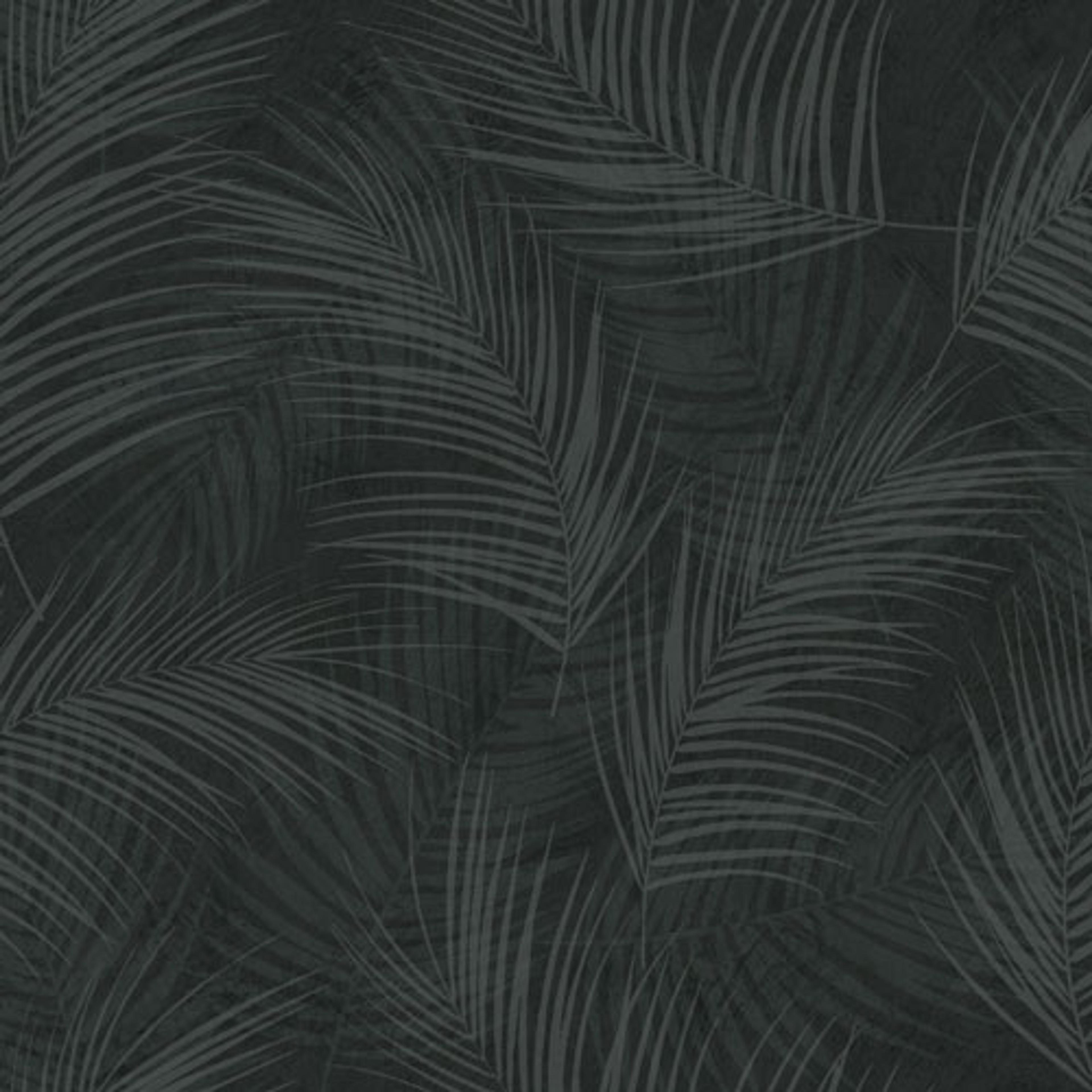 Palma tapet från Midbec med botaniskt mönster i svart. Från kollektionen Palma. Nonwoven-material med förskjuten passning. Passar i tonårsrum, kök och arbetsrum.