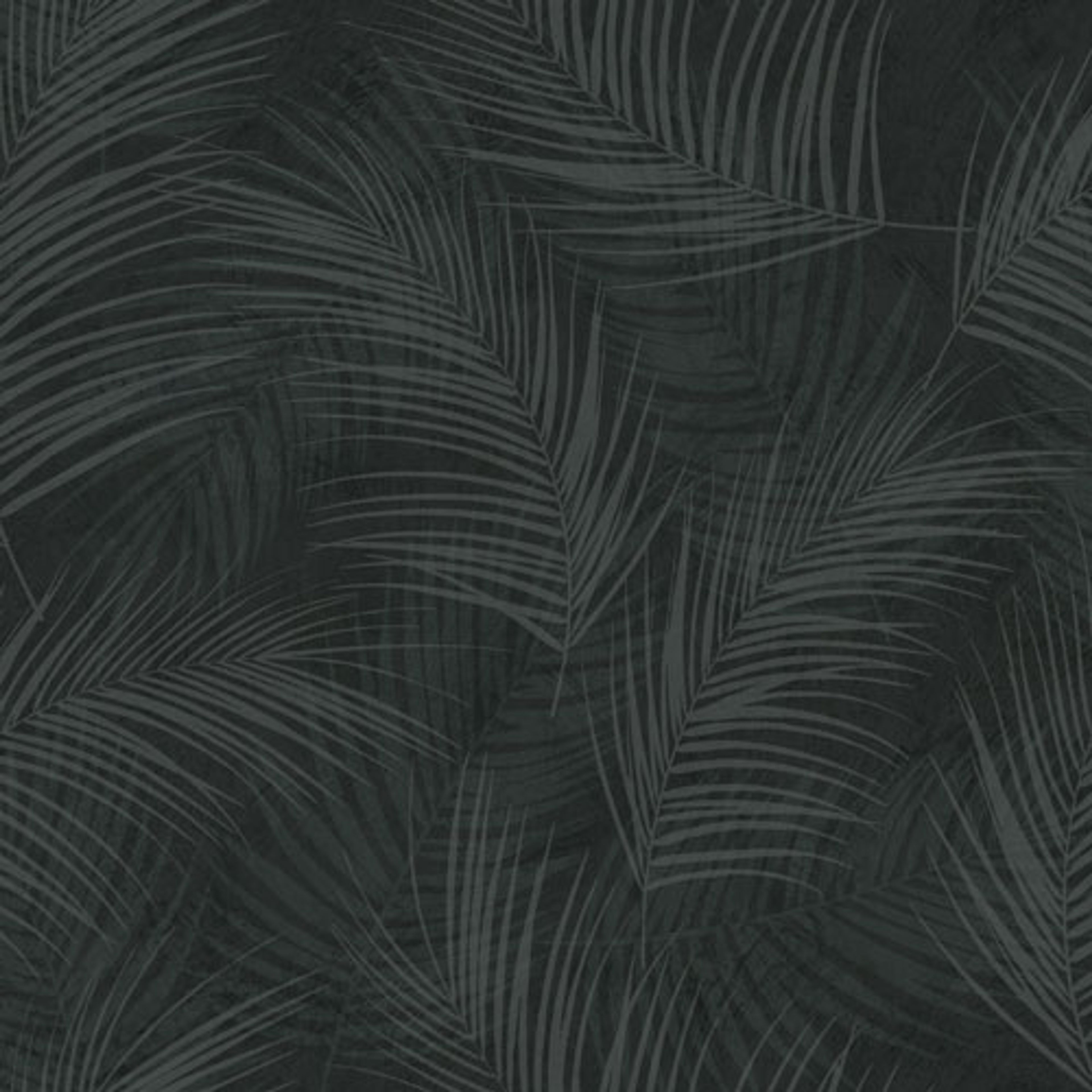 Palma tapet från Midbec med botaniskt mönster i svart. Från kollektionen Palma. Nonwoven-material med förskjuten passning. Passar i tonårsrum, kök och arbetsrum.
