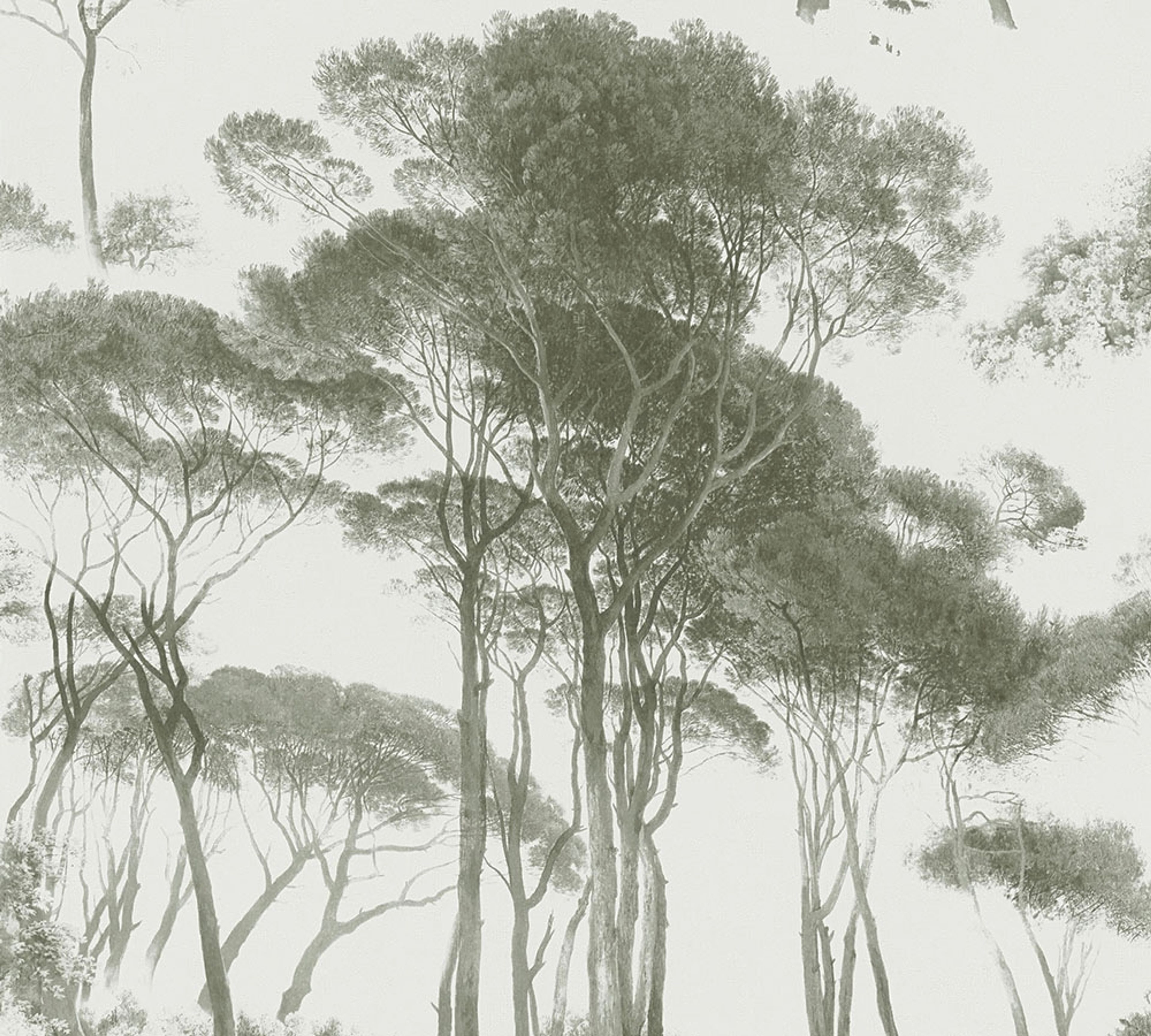 Treetops, strukturtapet i vit och grön tapet med djur mönster i vit. Från kollektionen history of art. Nonwoven-material med förskjuten passning. Passar i vardagsrum och matsal.