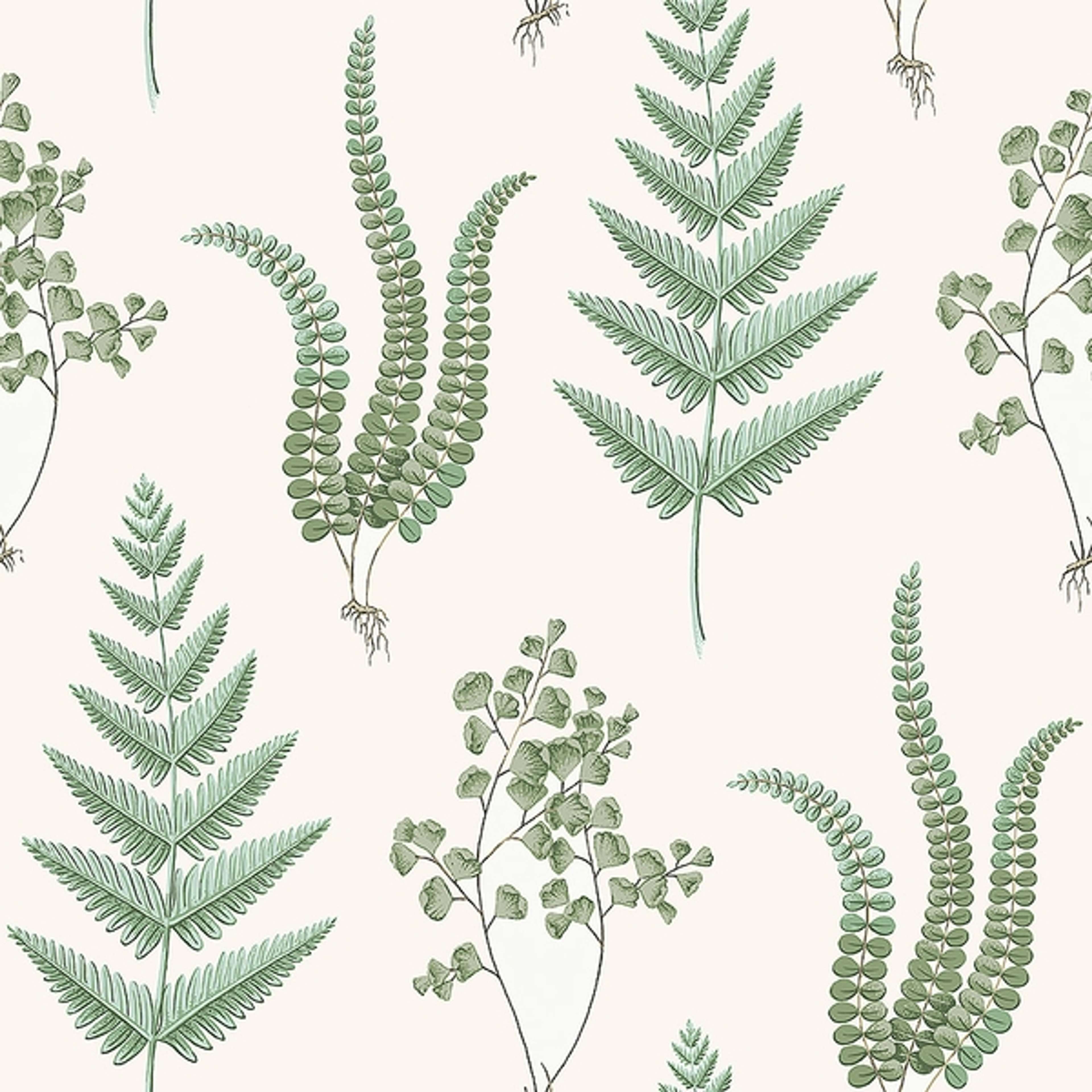 Herba tapet från Boråstapeter med botaniskt mönster i vit och grön. Från kollektionen Falsterbo III. Nonwoven-material med rak passning. Country-stil.