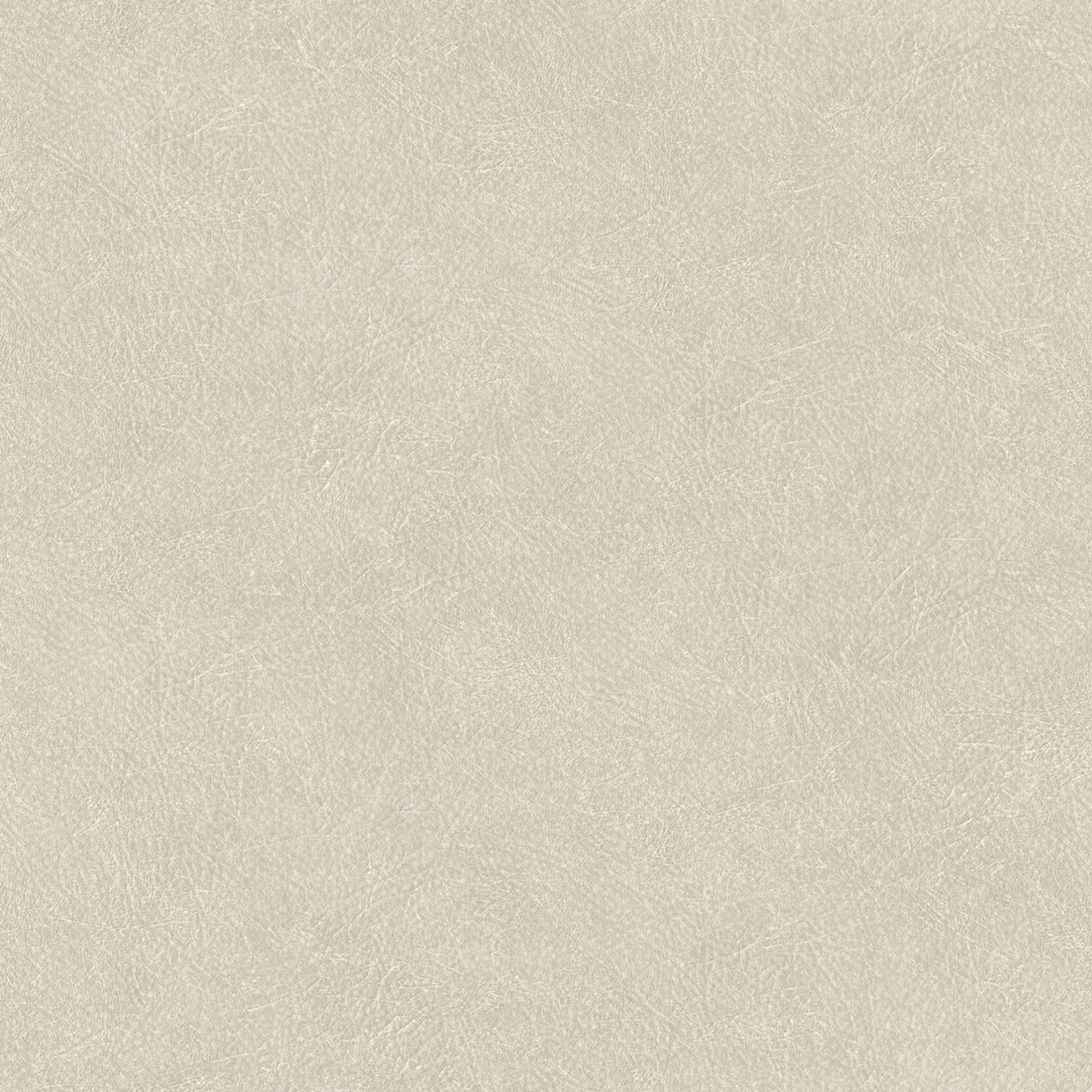 Leather Plain Ta25020