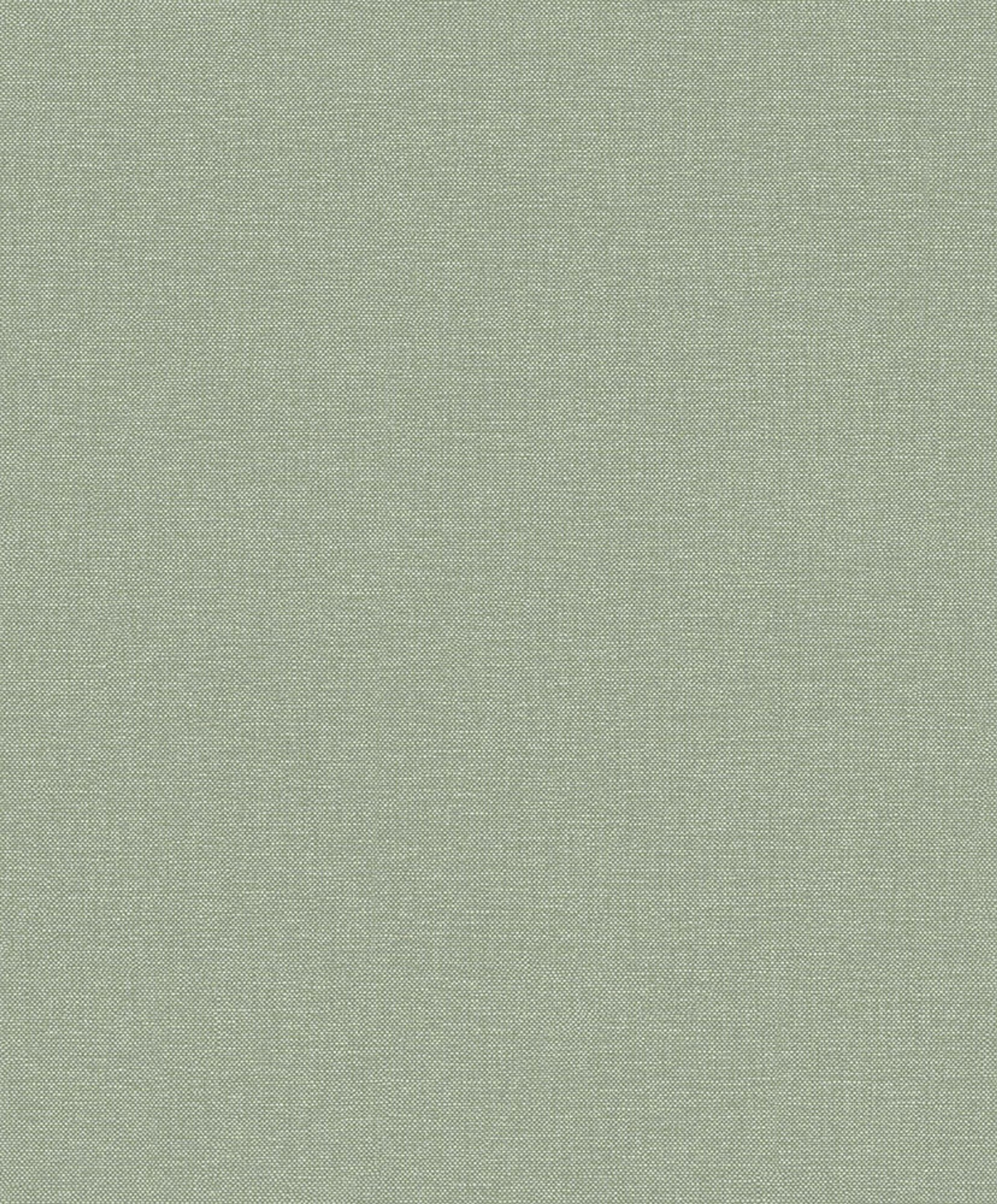 Linum 2 Lt10007