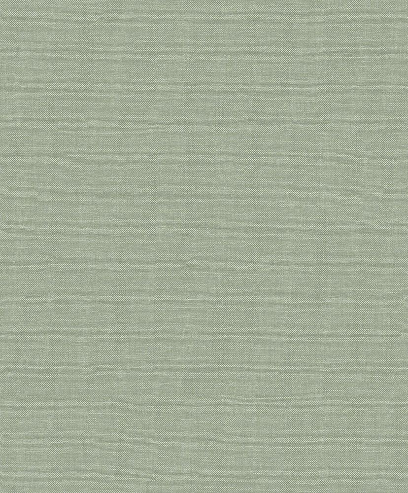 Linum 2 Lt10007