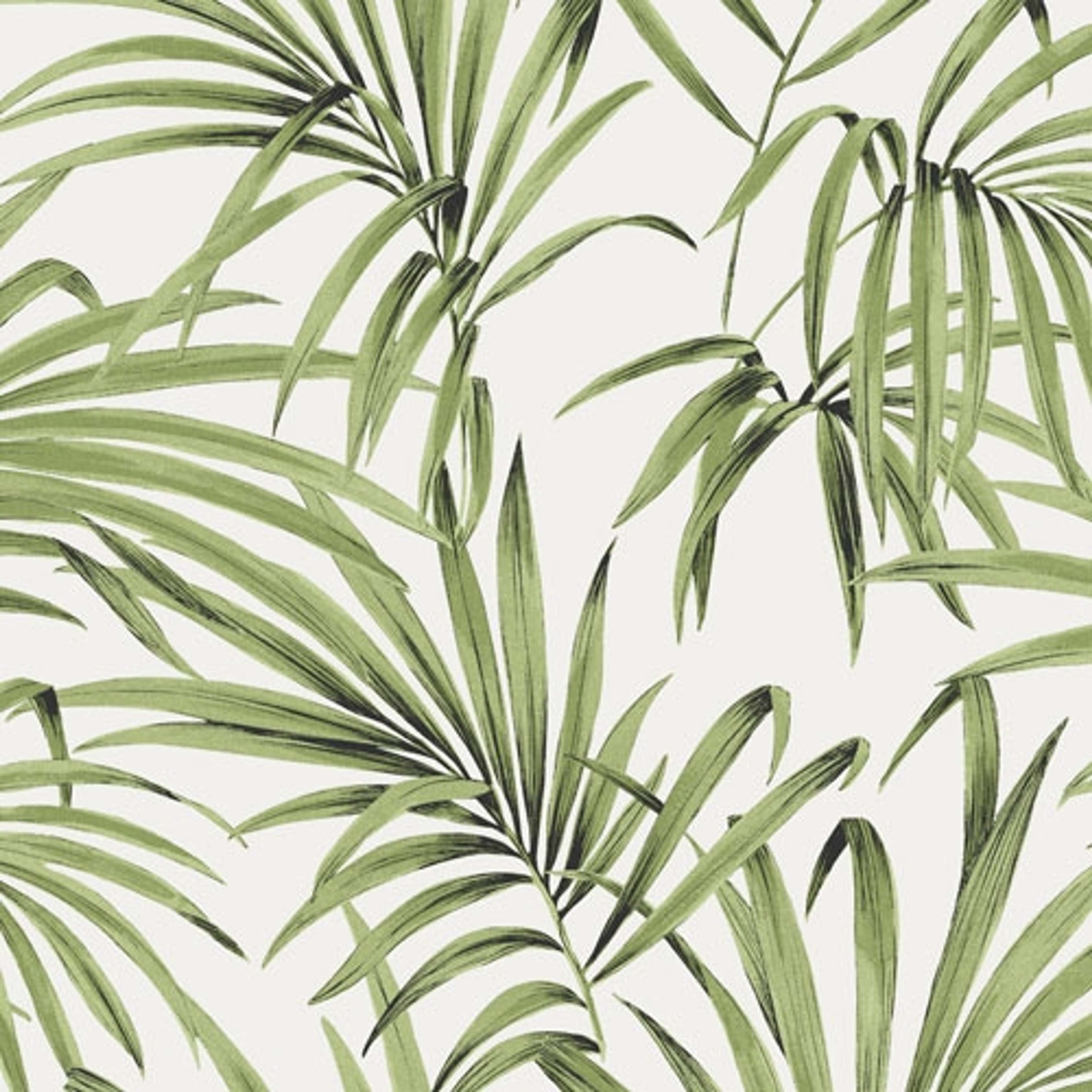 Palm greenery tapet med botaniskt mönster i grön och beige. Från kollektionen lotus. Nonwoven-material med förskjuten passning. Country-stil.