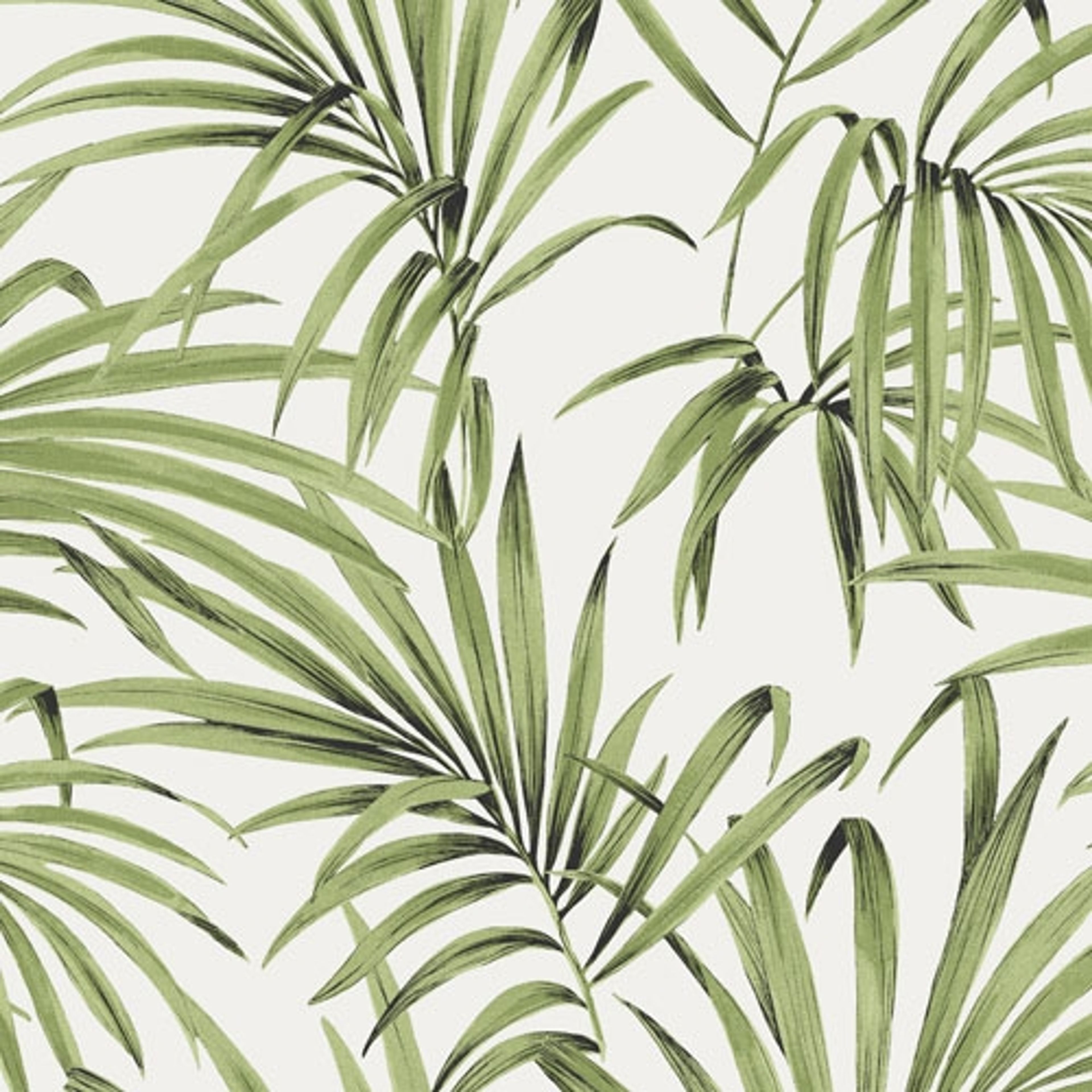 Palm greenery tapet med botaniskt mönster i grön och beige. Från kollektionen lotus. Nonwoven-material med förskjuten passning. Country-stil.