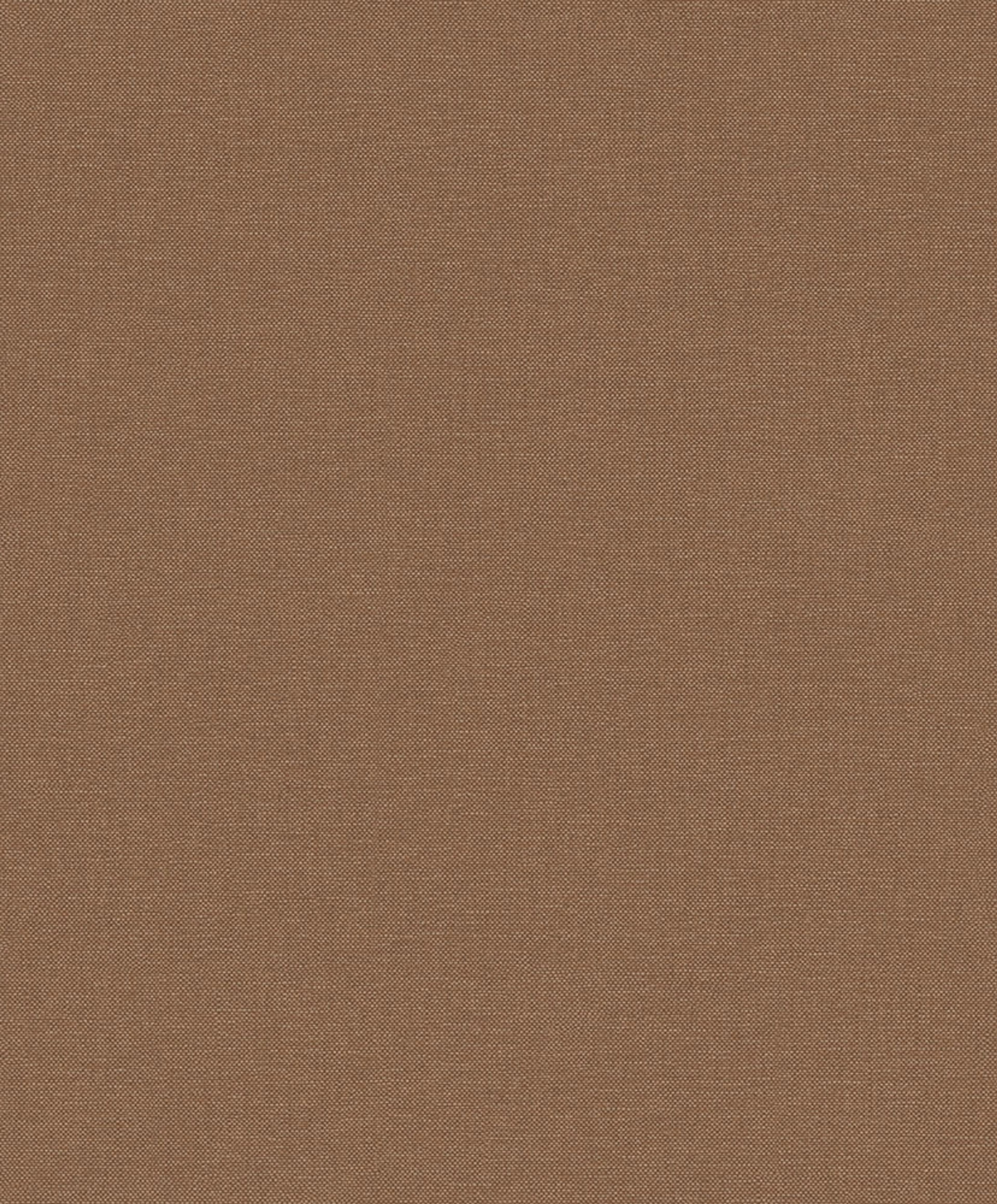 Linum 2 Lt10025