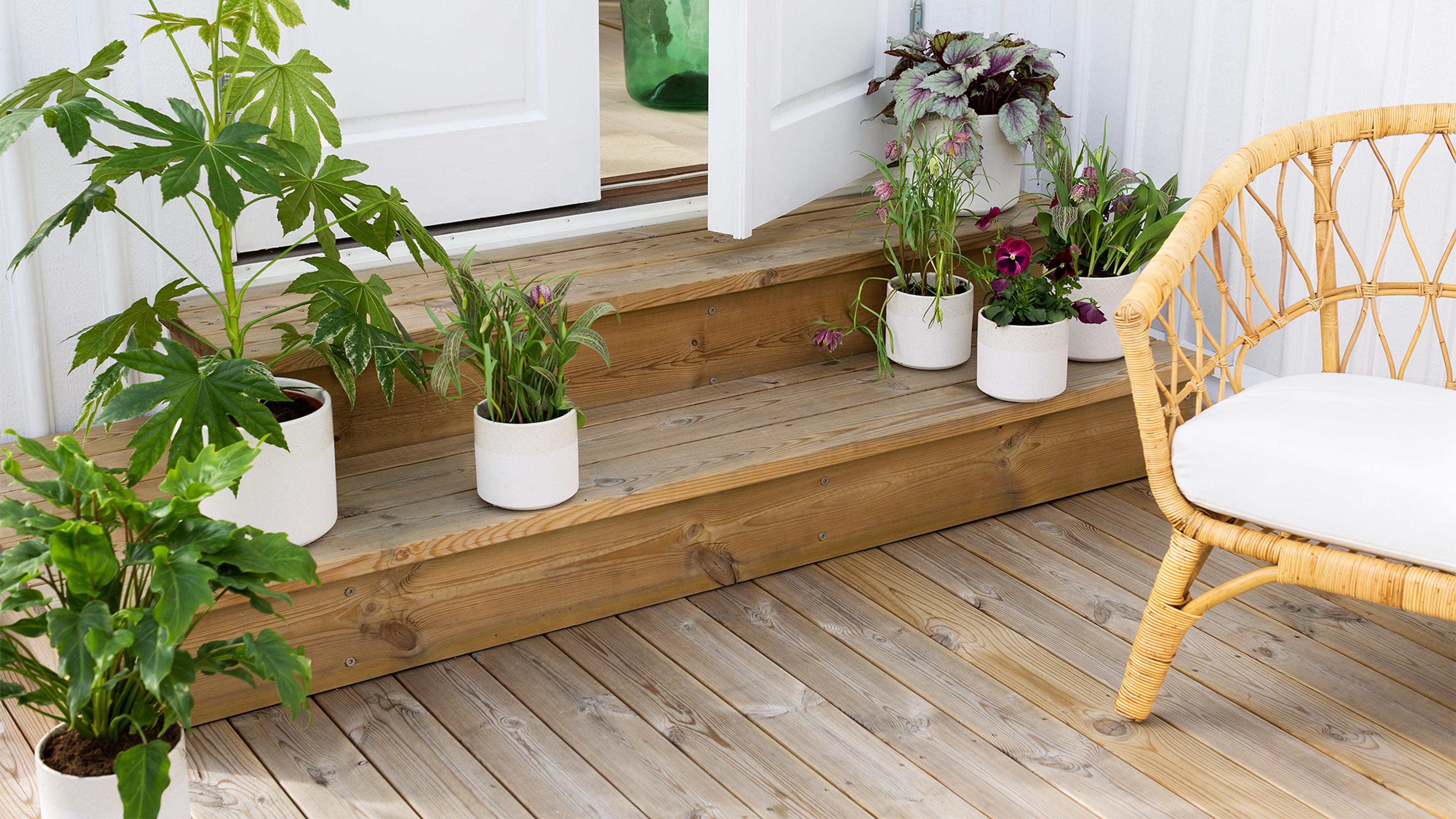A wooden deck and steps adorned with various potted plants and a wicker chair with a white cushion.