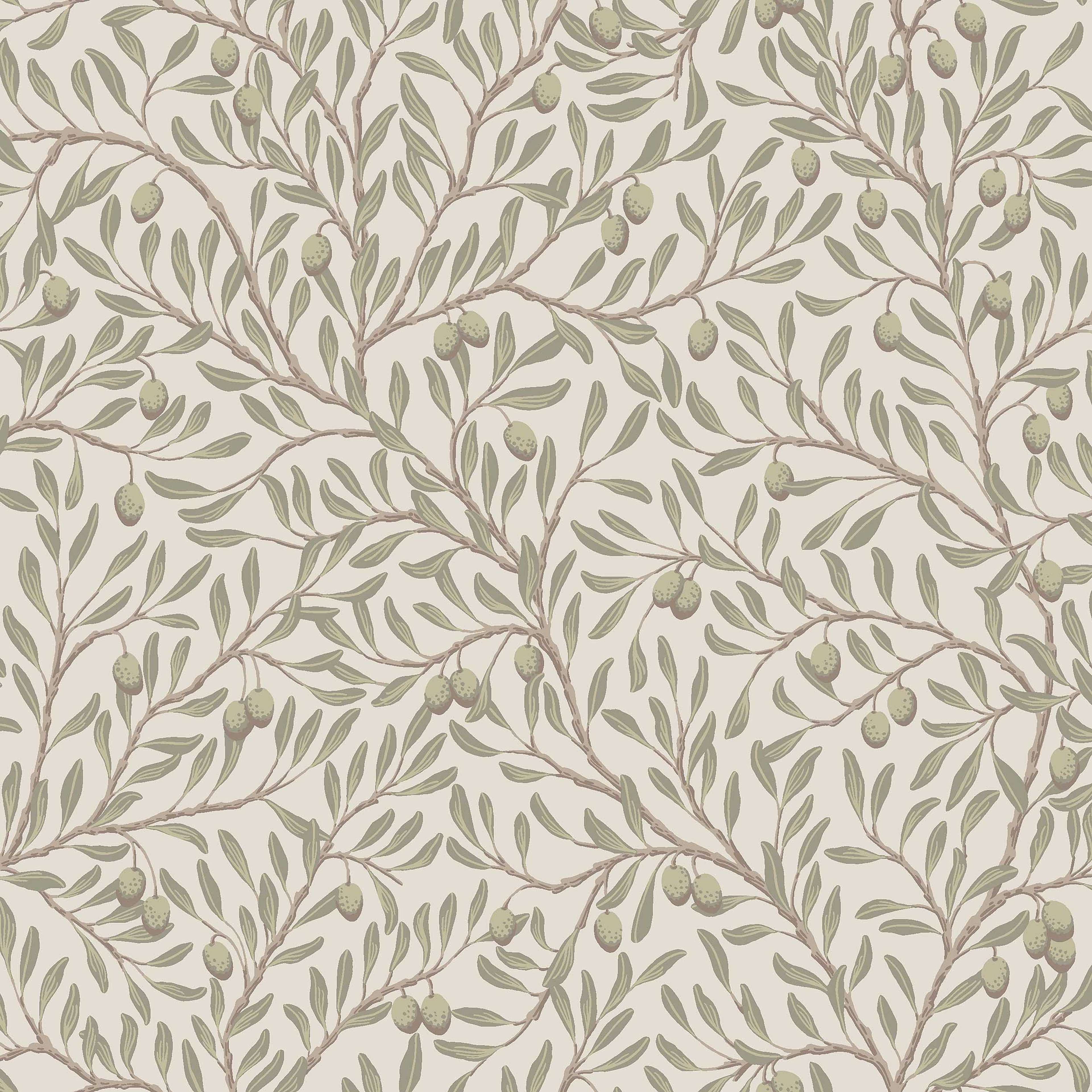 Olivträd grön, tapet tapet med botaniskt mönster i grön. Från kollektionen Orangeri. Nonwoven-material med förskjuten passning. Passar i vardagsrum.