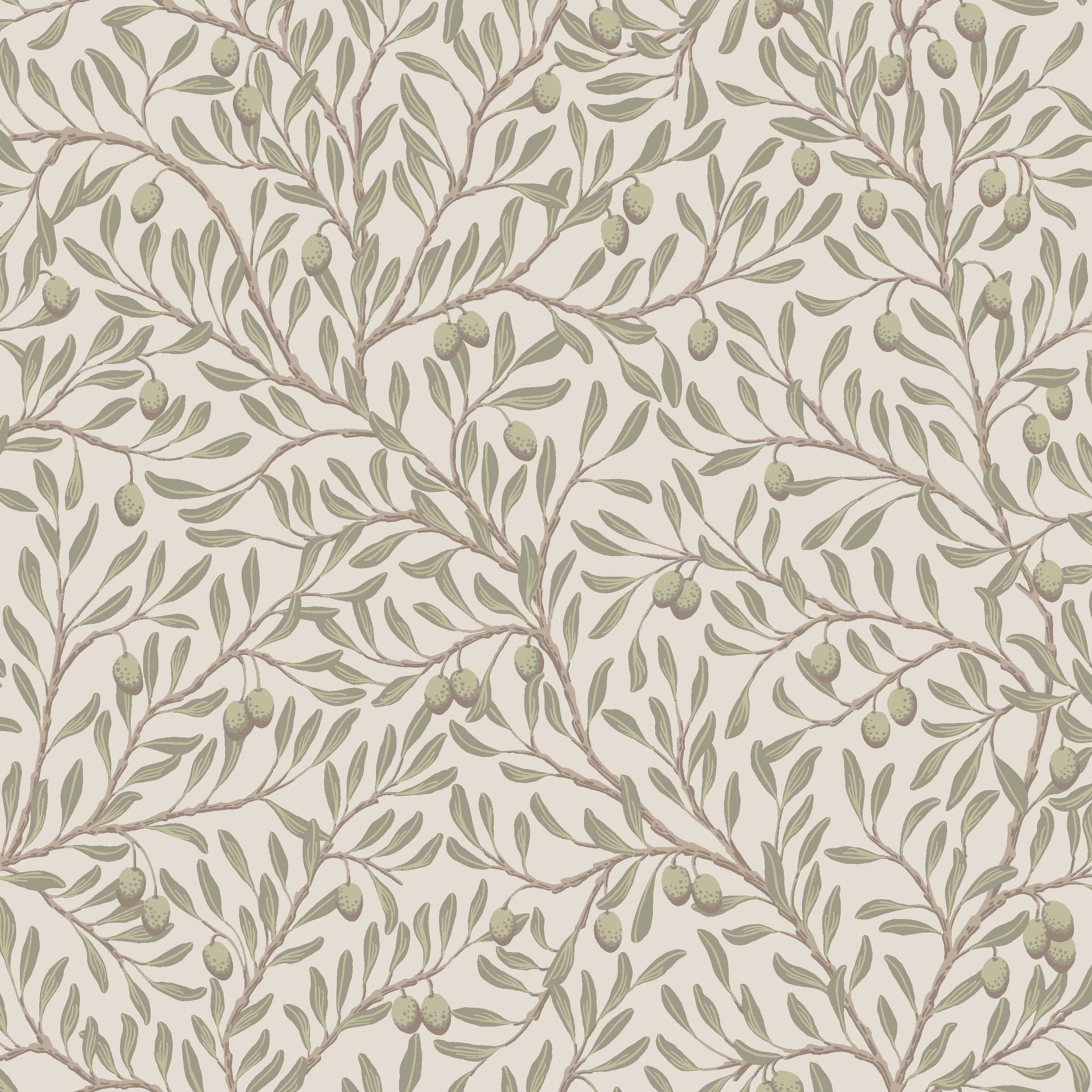 Olivträd grön, tapet tapet med botaniskt mönster i grön. Från kollektionen Orangeri. Nonwoven-material med förskjuten passning. Passar i vardagsrum.