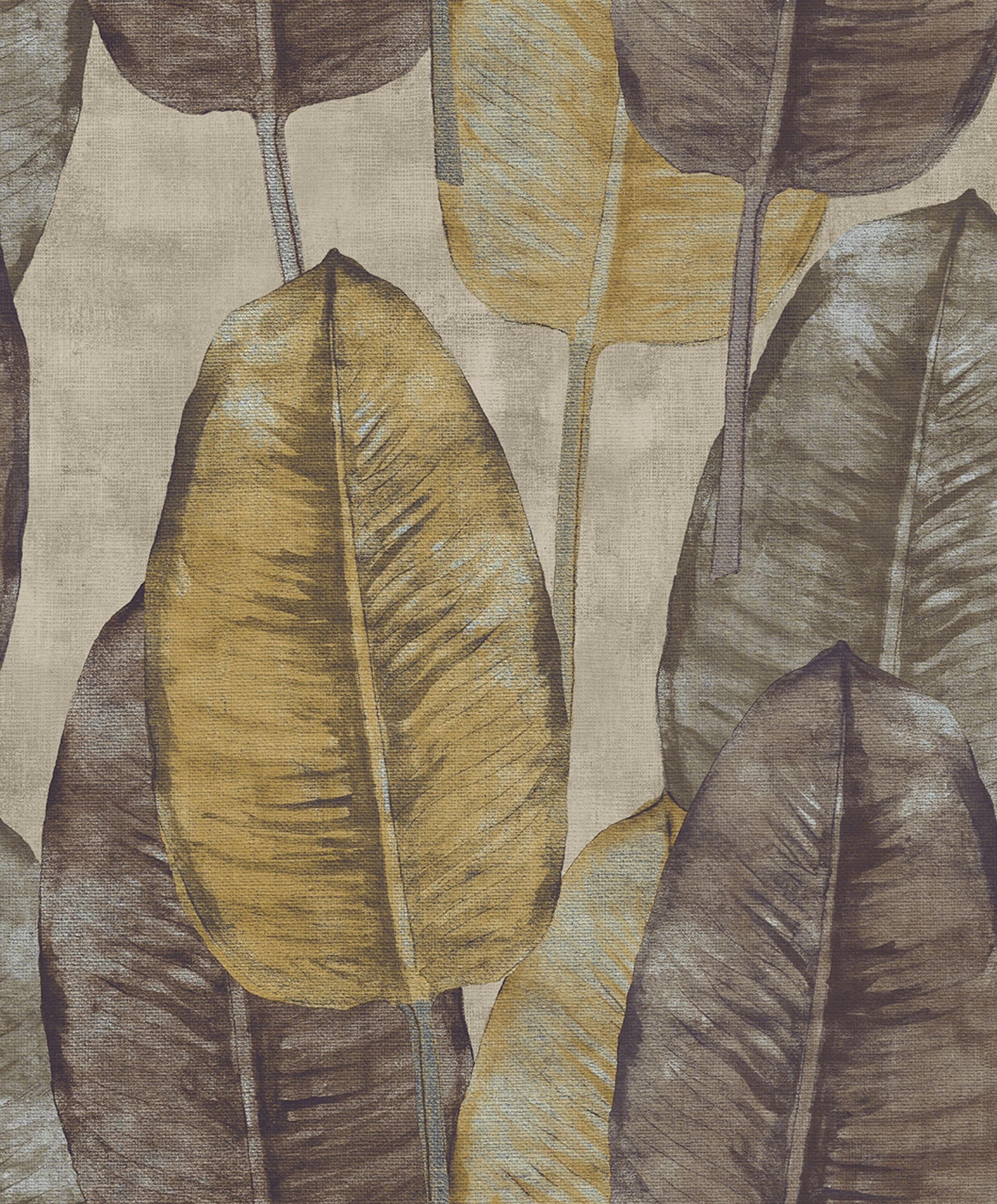 Rubber Tree