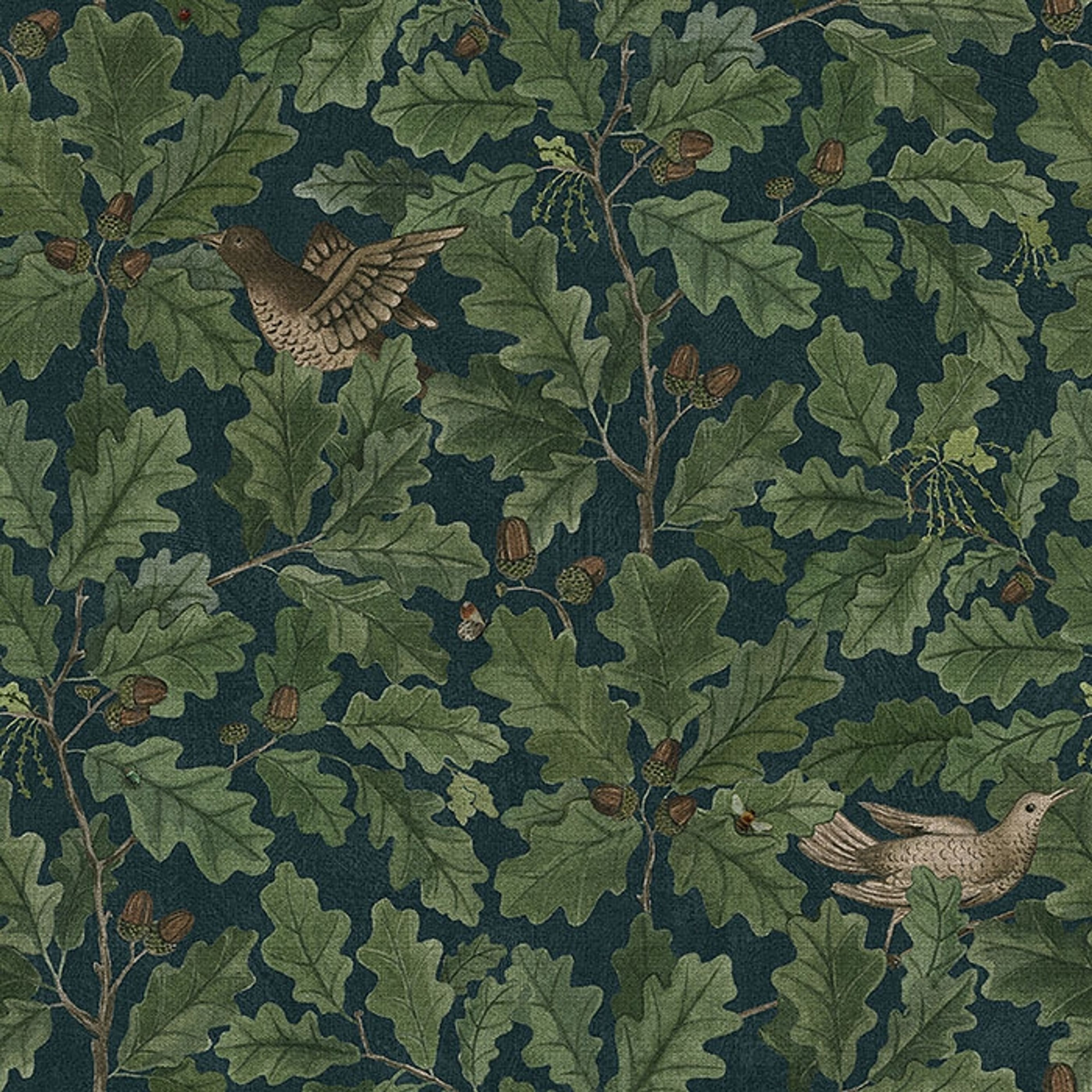 In the Oak tapet med djur, botaniskt, blommigt mönster i grön och blå. Från kollektionen Special Edition Forest. Nonwoven-material med rak passning. Lyx-stil.