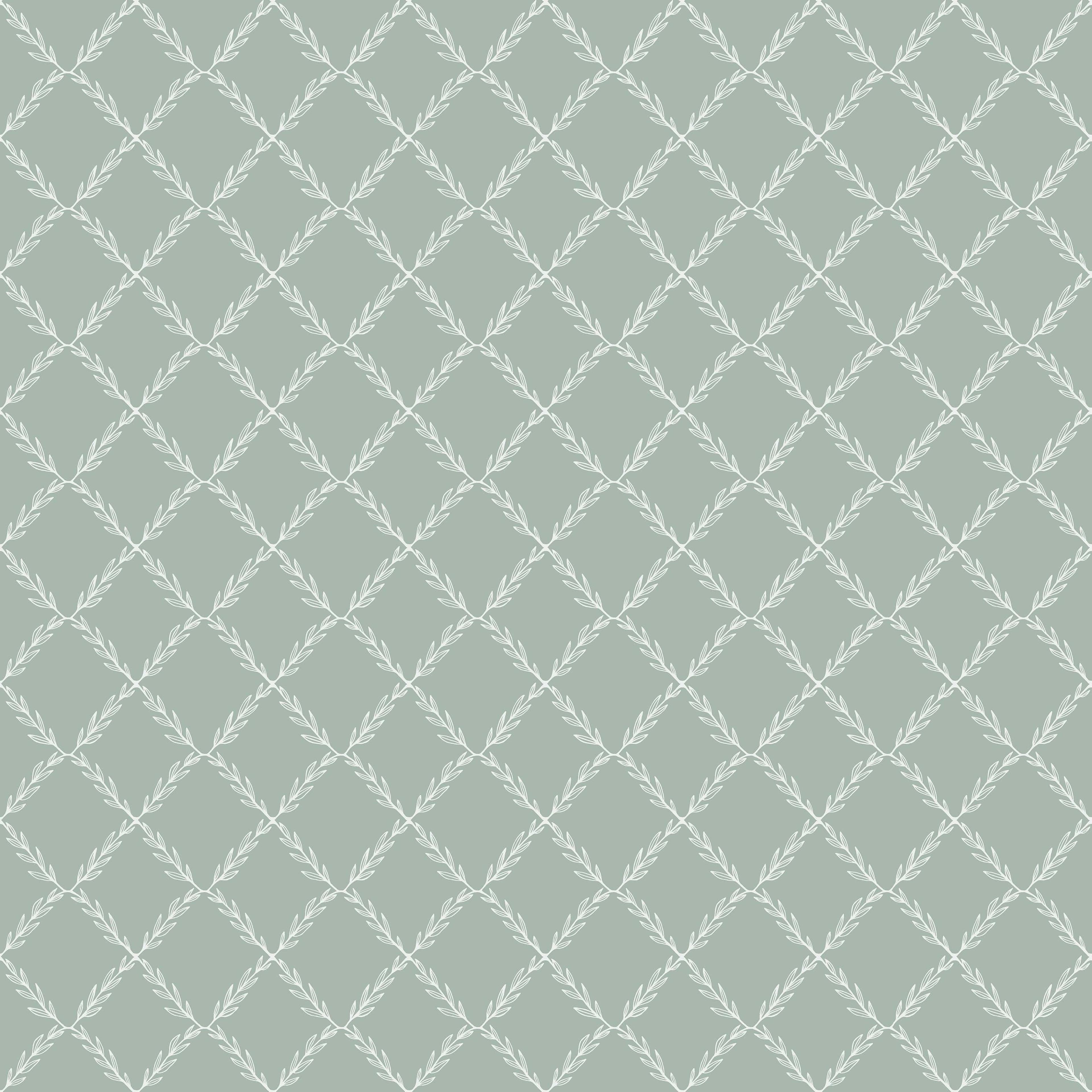 Vide