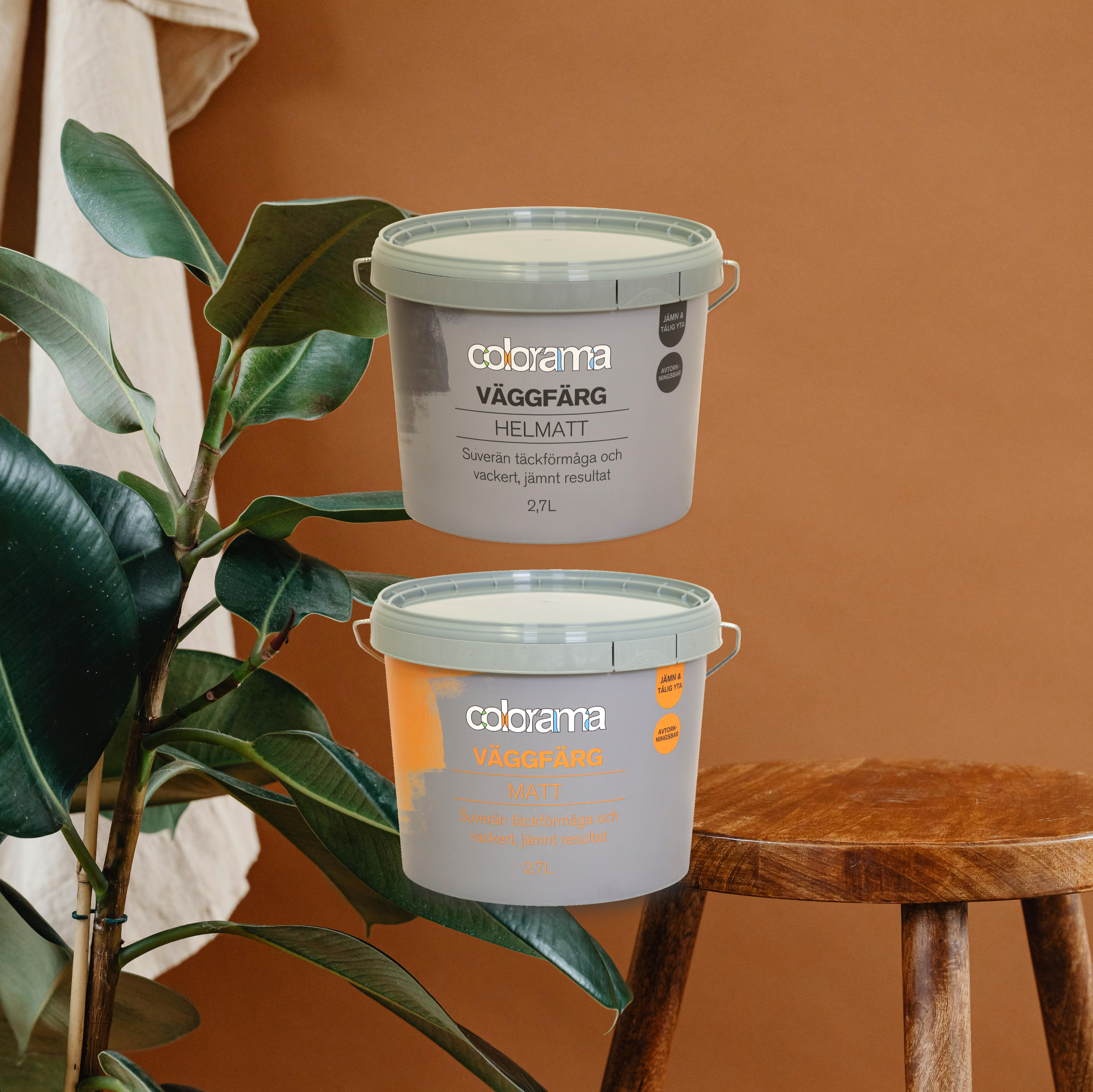 Two Colorama wall paint buckets, one grey matte and one orange, next to a plant and a wooden stool.