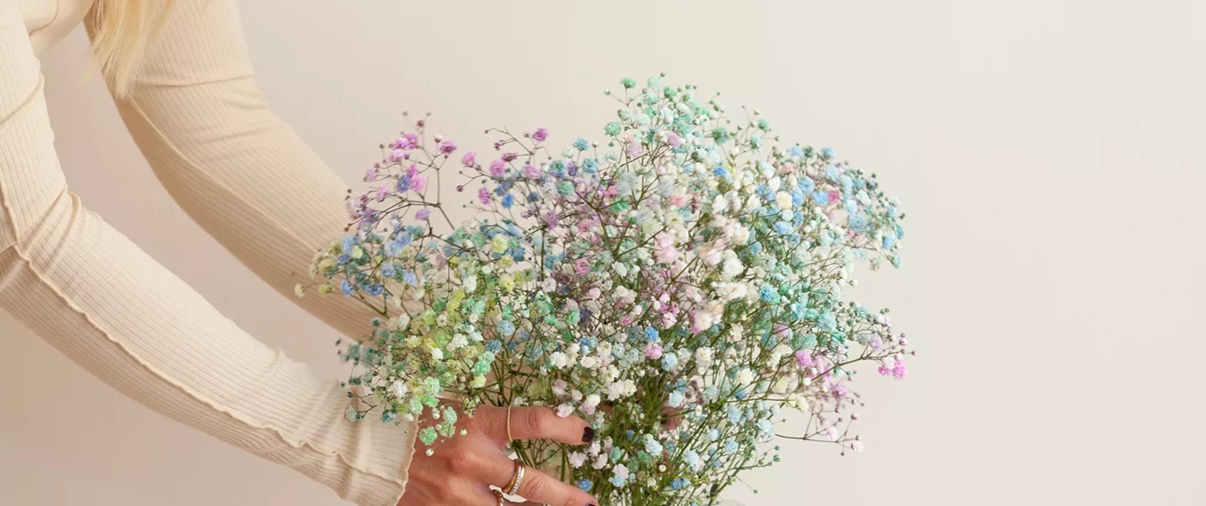 Hands holding a large bouquet of rainbow-colored baby's breath.