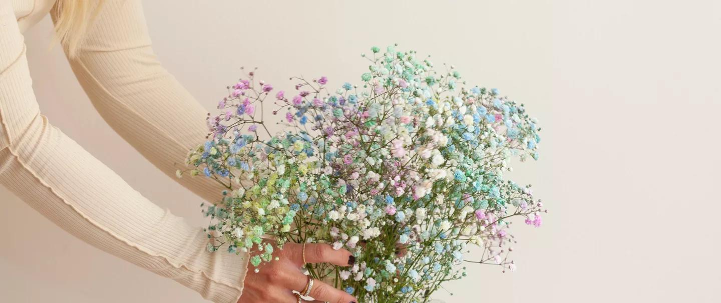 Hands holding a large bouquet of rainbow-colored baby's breath.