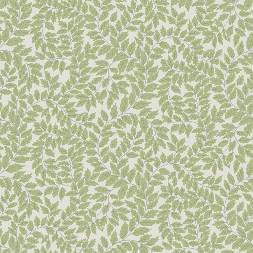 Lindlöv tapet med botaniskt mönster i grå. Från kollektionen Fågelsång. Nonwoven-material med rak passning.