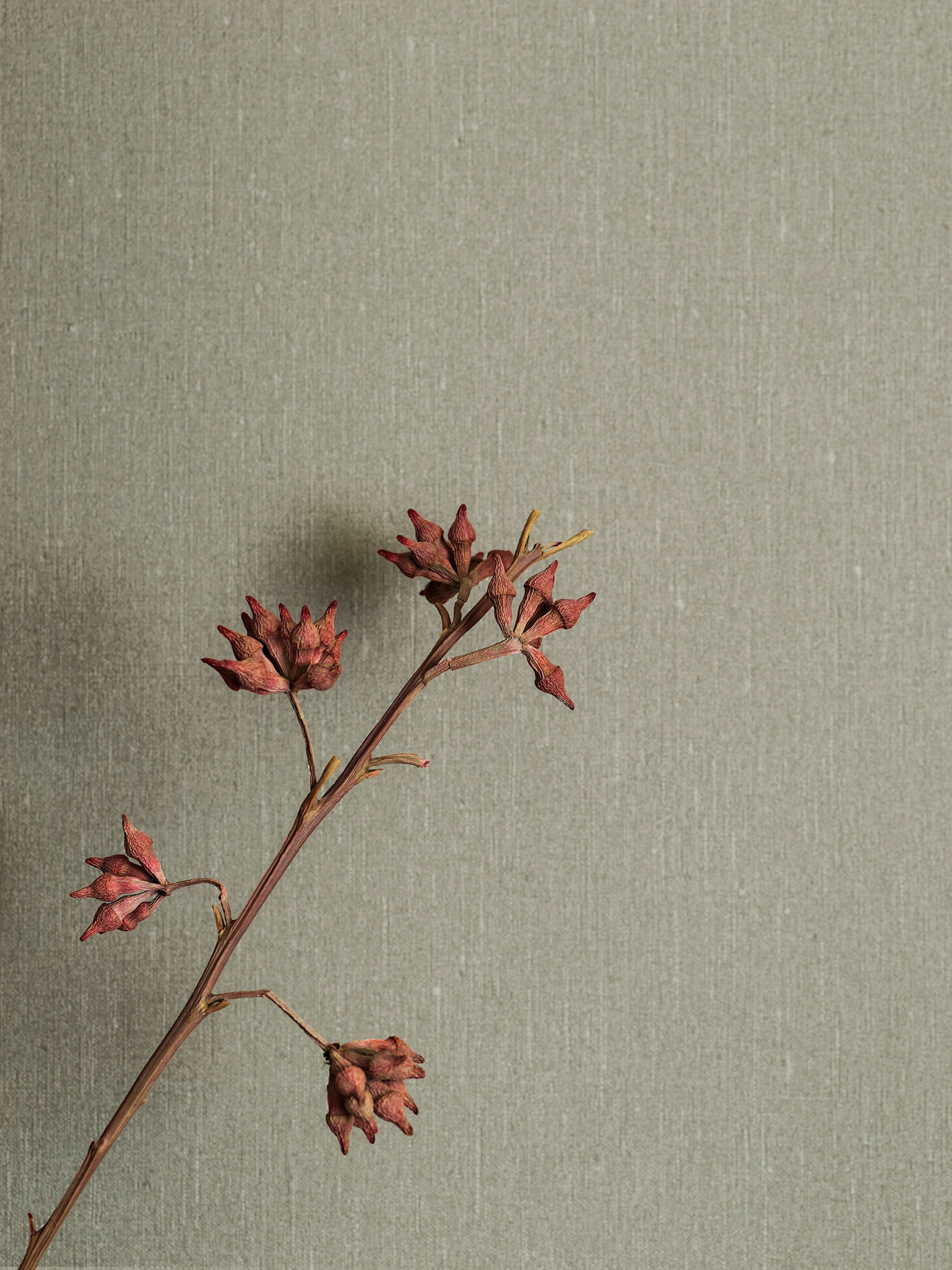 Soft Olive tapet med enfargat, textilimitation mönster i grön. Från kollektionen Linen. Nonwoven-material. Passar i vardagsrum och matsal.