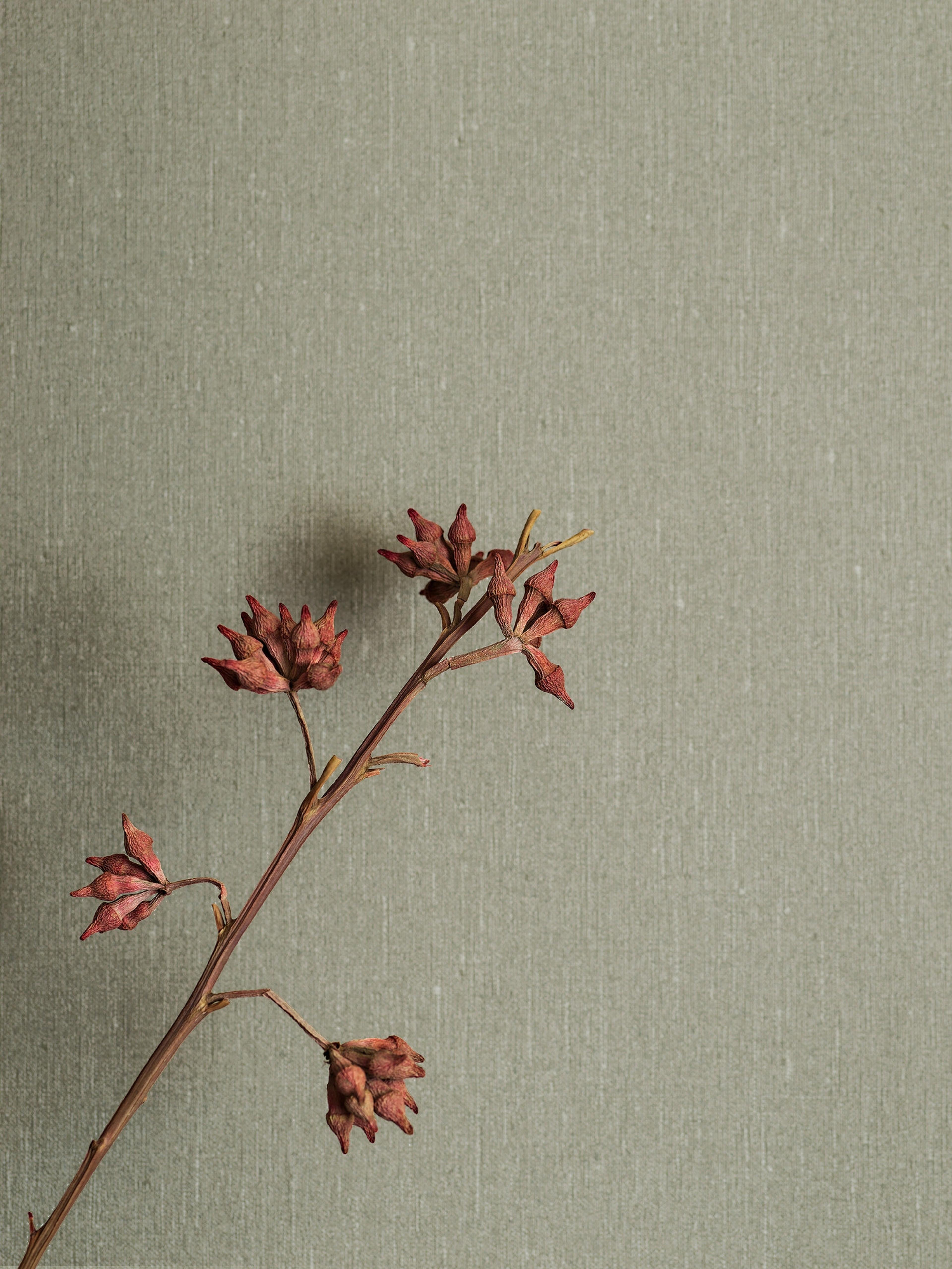 Soft Olive tapet med enfargat, textilimitation mönster i grön. Från kollektionen Linen. Nonwoven-material. Passar i vardagsrum och matsal.