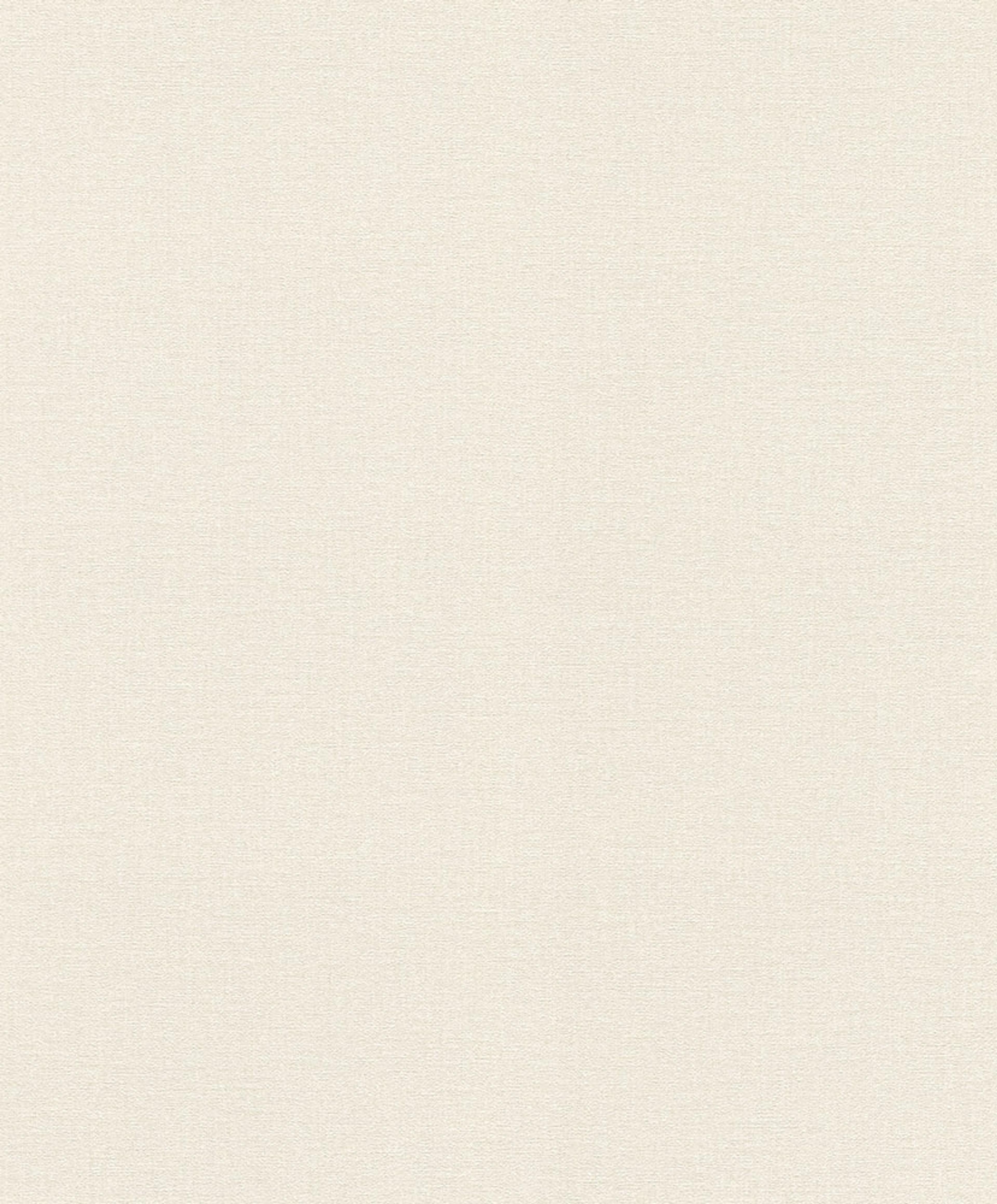 Serengeti 555820