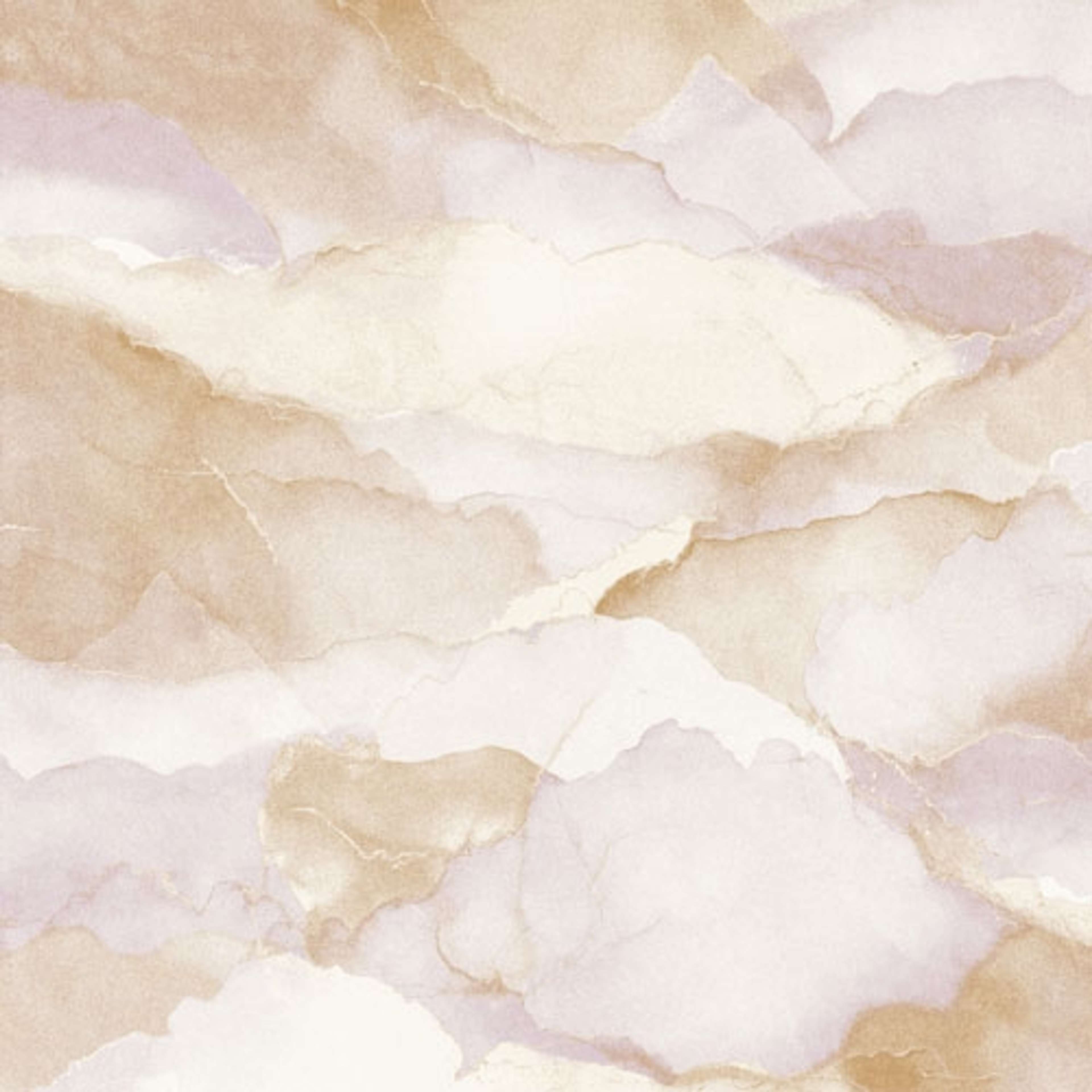 Cloud pastel tapet med himmel mönster i brun. Från kollektionen lotus. Nonwoven-material med förskjuten passning.