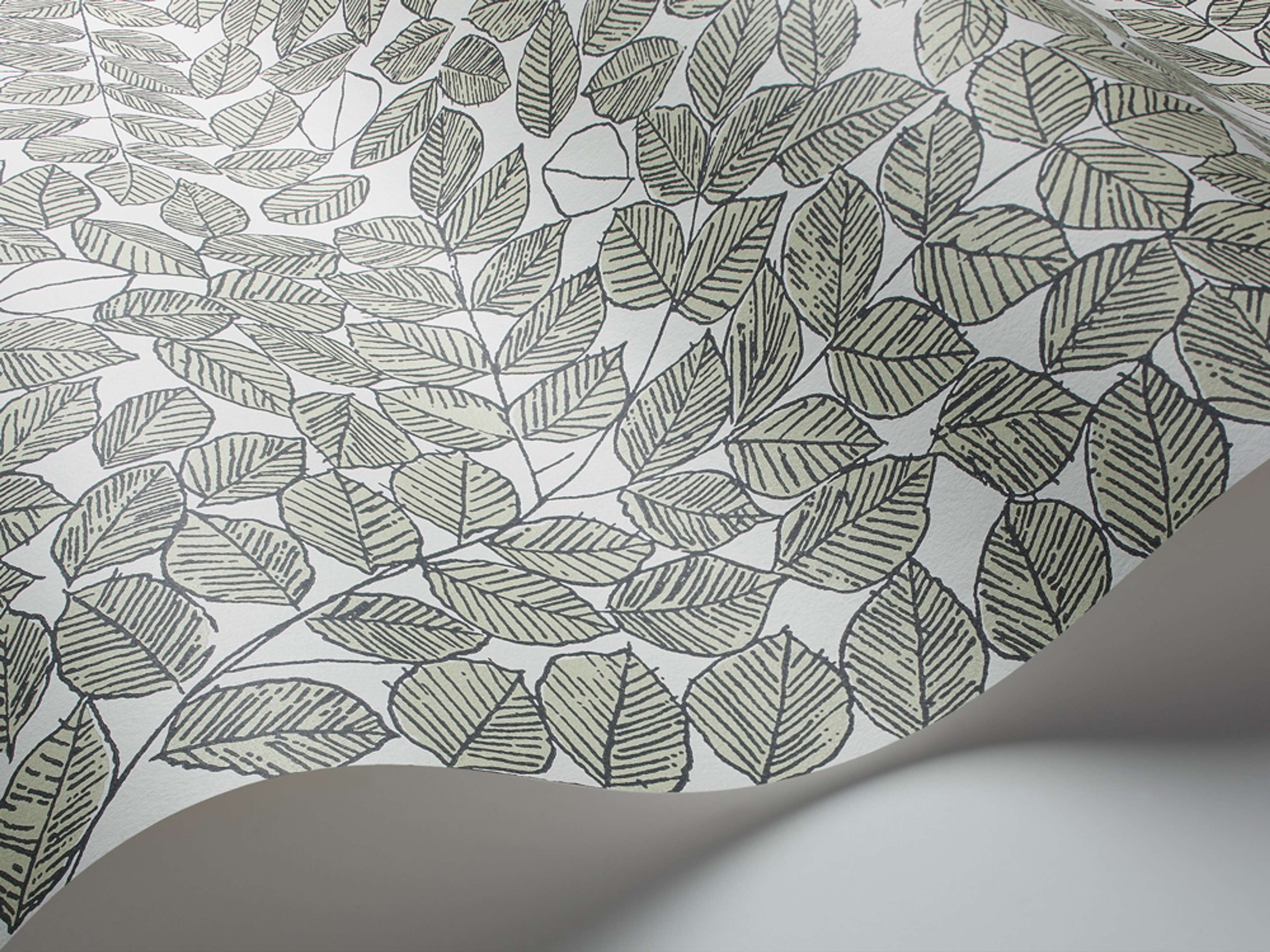 Romans tapet från Boråstapeter med botaniskt, retro mönster i vit, svart och grön. Från kollektionen Scandinavian Designers II. Nonwoven-material med förskjuten passning.