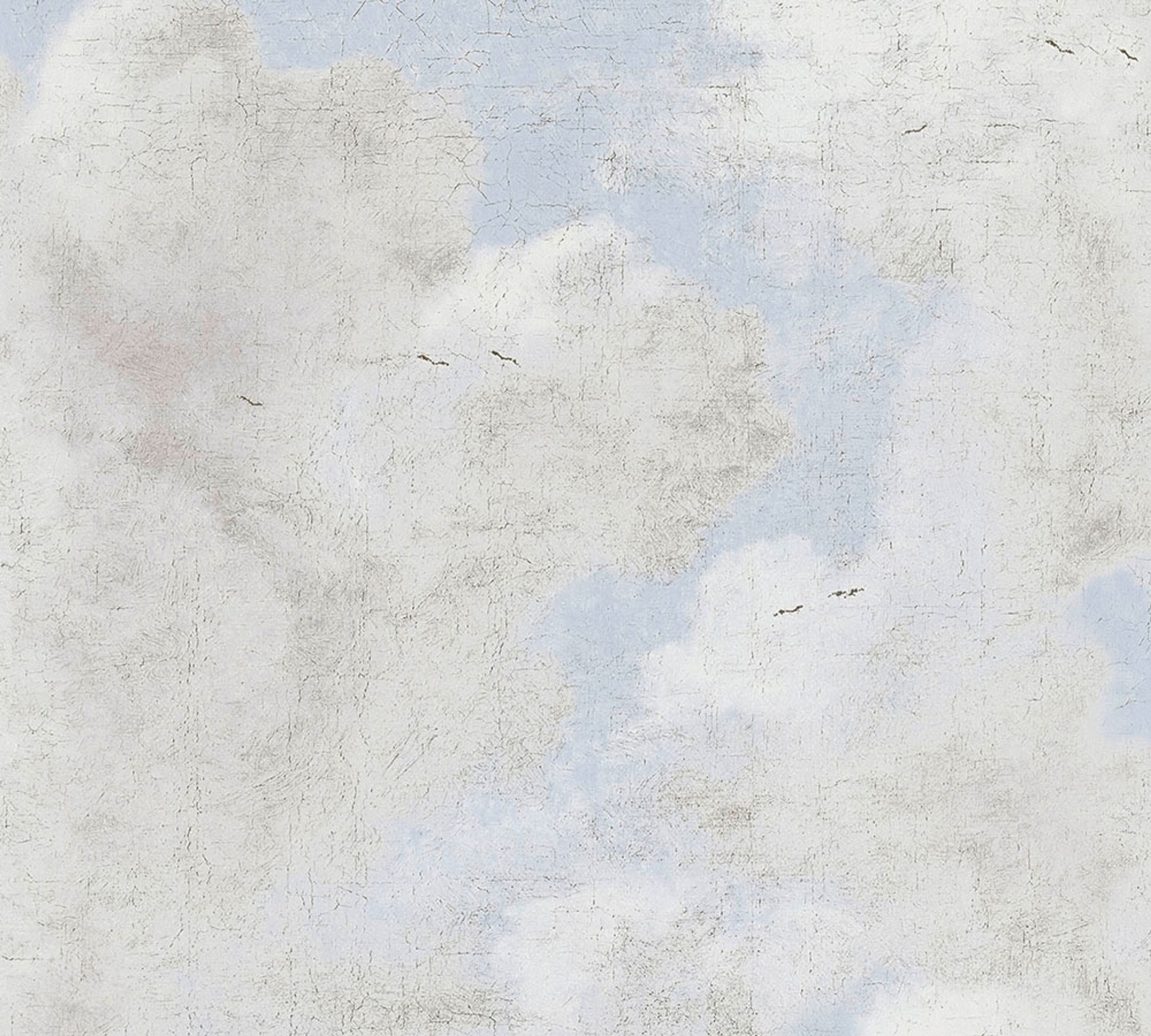 Cloud Imitation, strukturtapet i blå tapet med djur mönster i blå. Från kollektionen history of art. Nonwoven-material med förskjuten passning. Passar i vardagsrum och matsal.