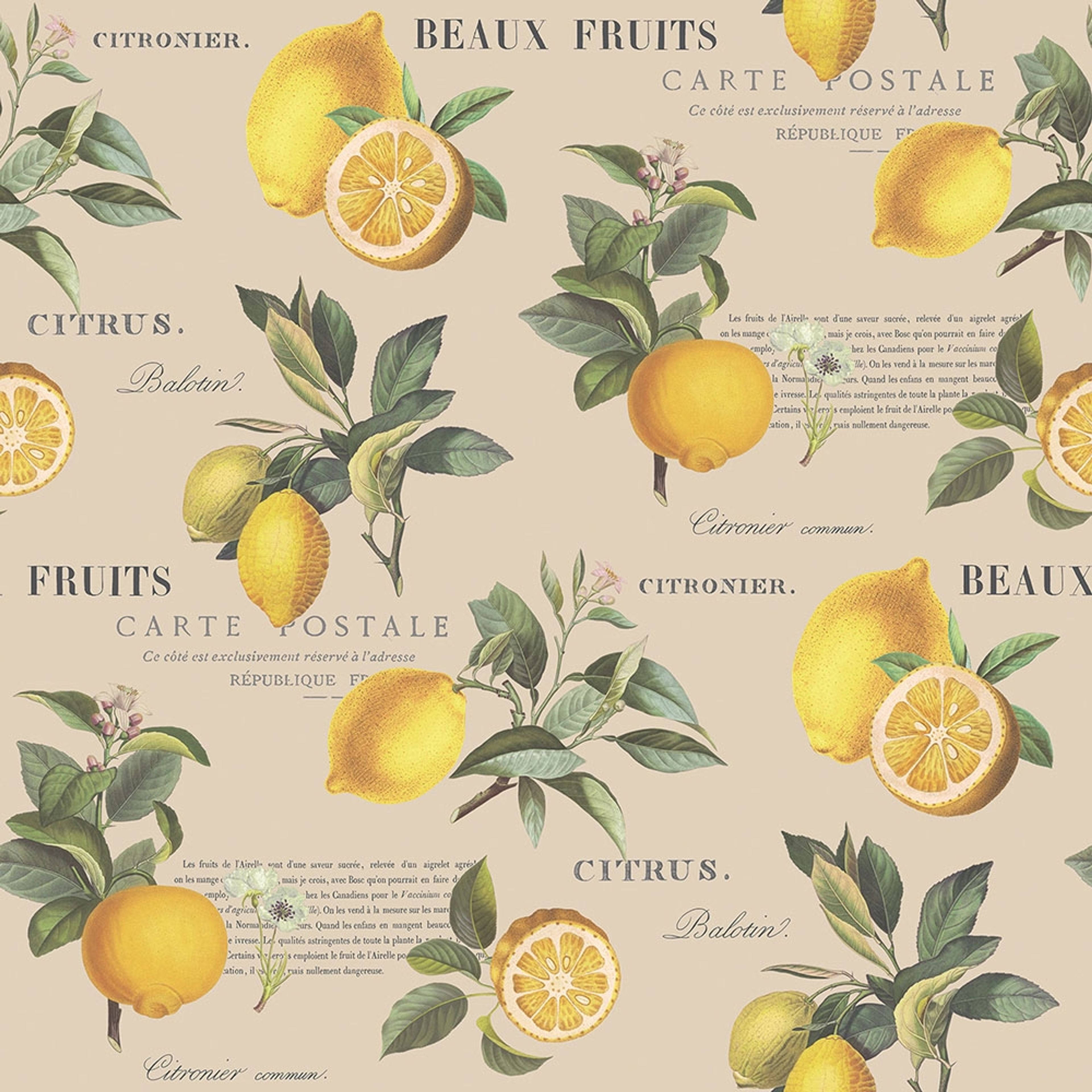 Citron Botanical tapet med text mönster i gul och beige. Från kollektionen Just Kitchens. Nonwoven-material med rak passning.