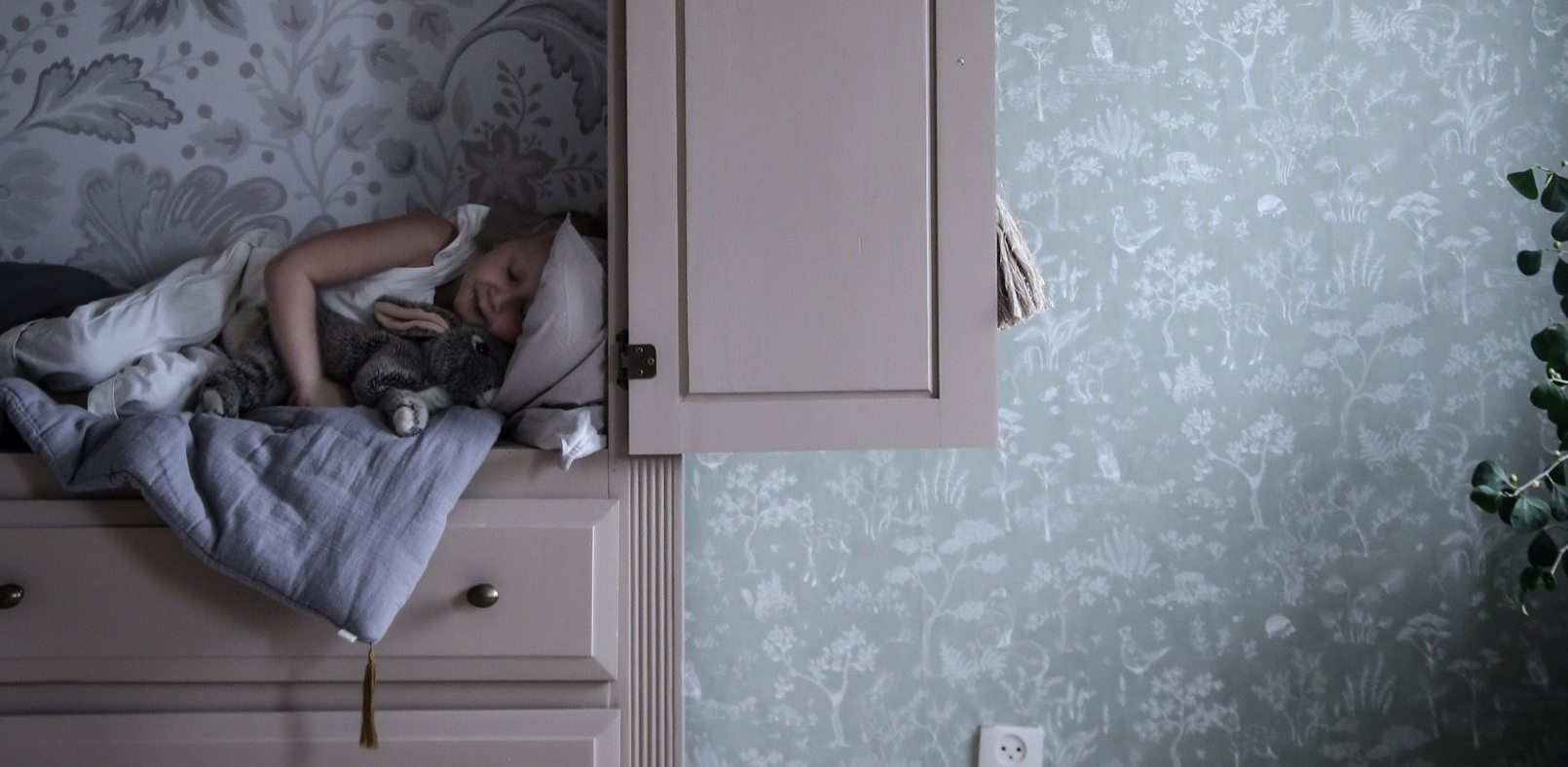 A young child sleeps with a cat inside a cabinet.