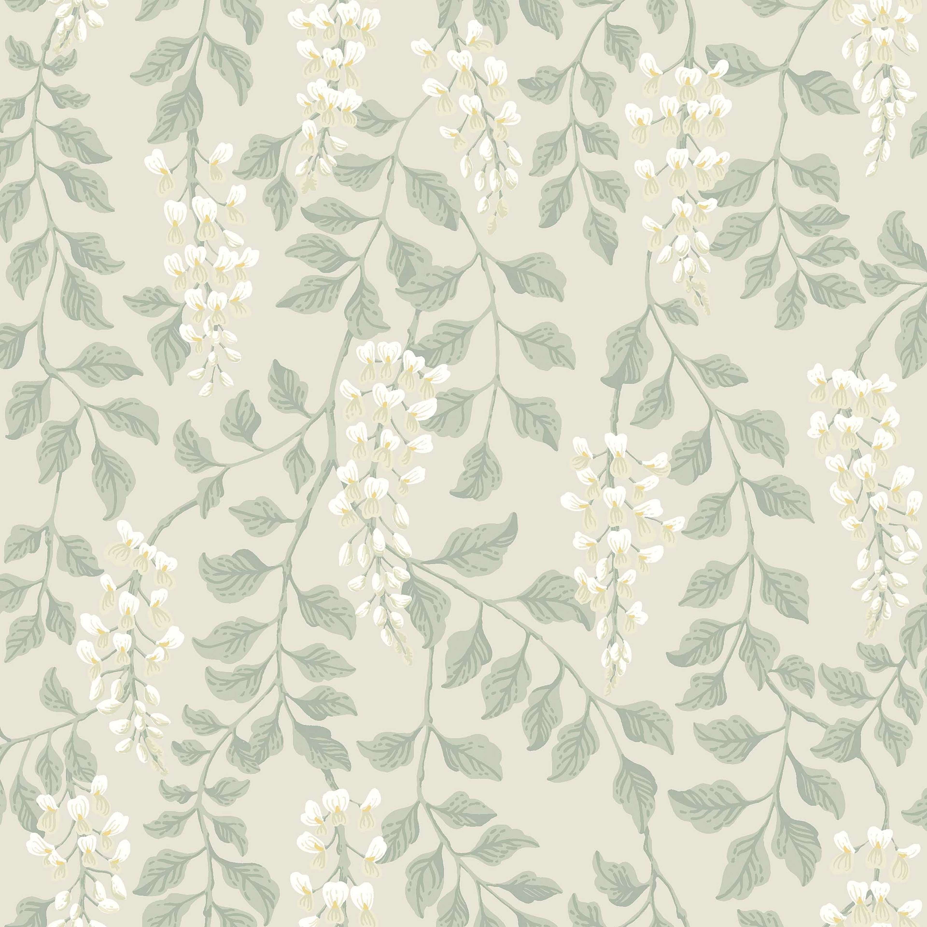 Blåregn beige, tapet tapet med botaniskt, blommigt mönster i beige. Från kollektionen Orangeri. Nonwoven-material med förskjuten passning. Passar i vardagsrum.