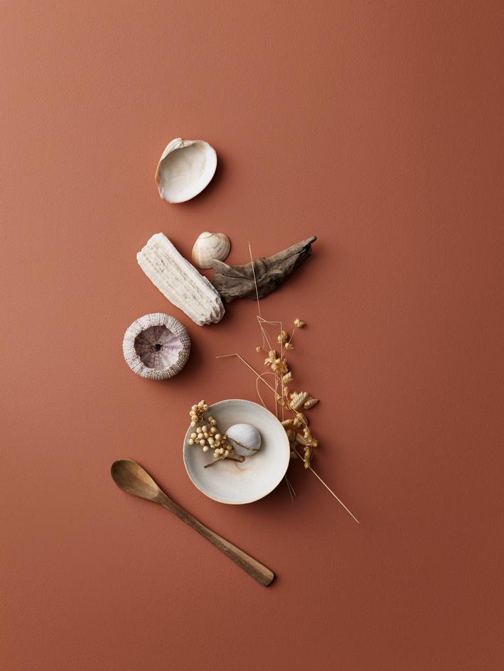 Seashells, driftwood, a sea urchin, dried plants, a small bowl with a stone, and a wooden spoon arranged on a warm reddish-brown background.