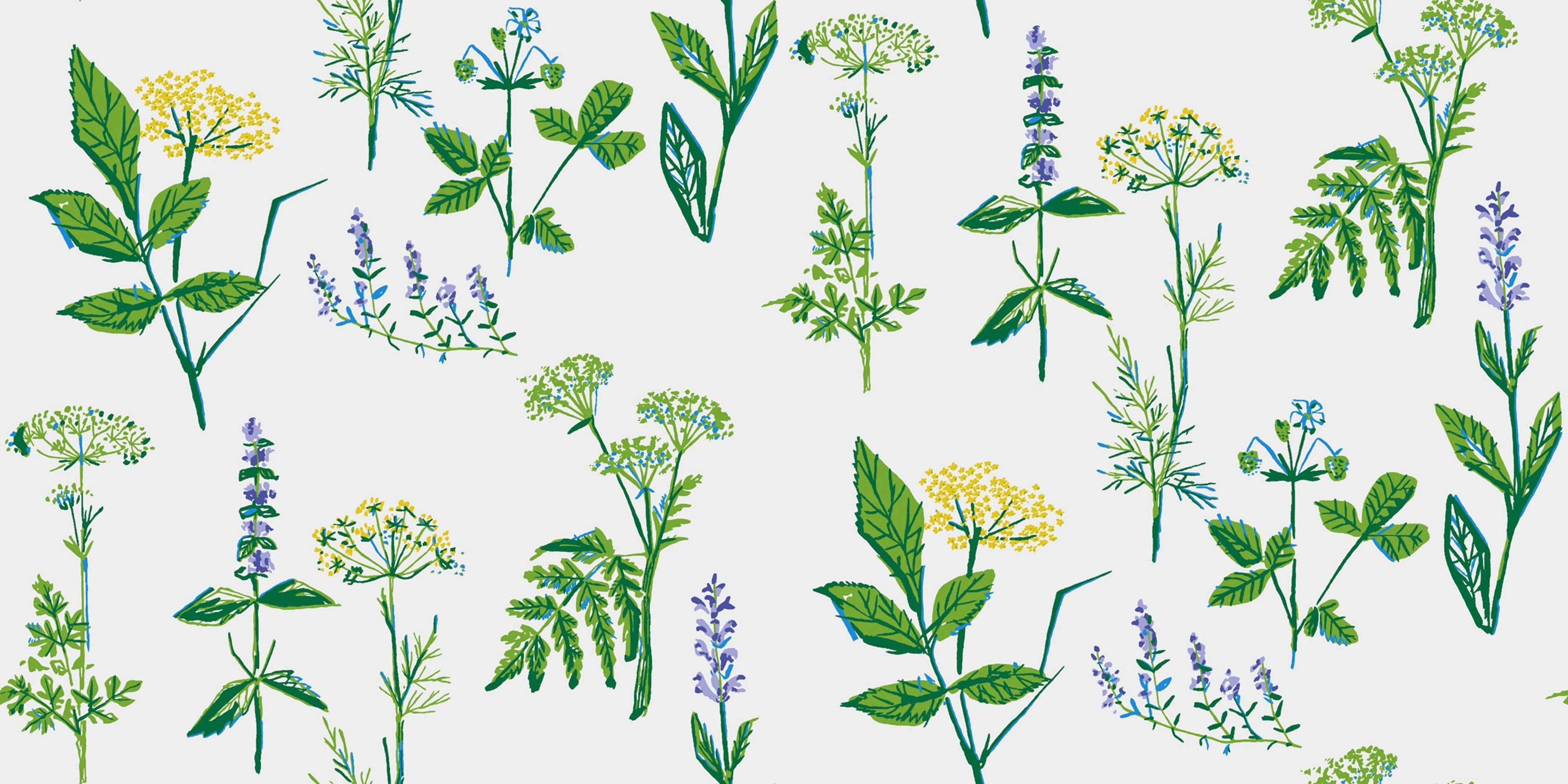 Köksväxter tapet från Boråstapeter med blommigt, retro mönster i vit och grön. Från kollektionen Scandinavian Designers II. Nonwoven-material med förskjuten passning.