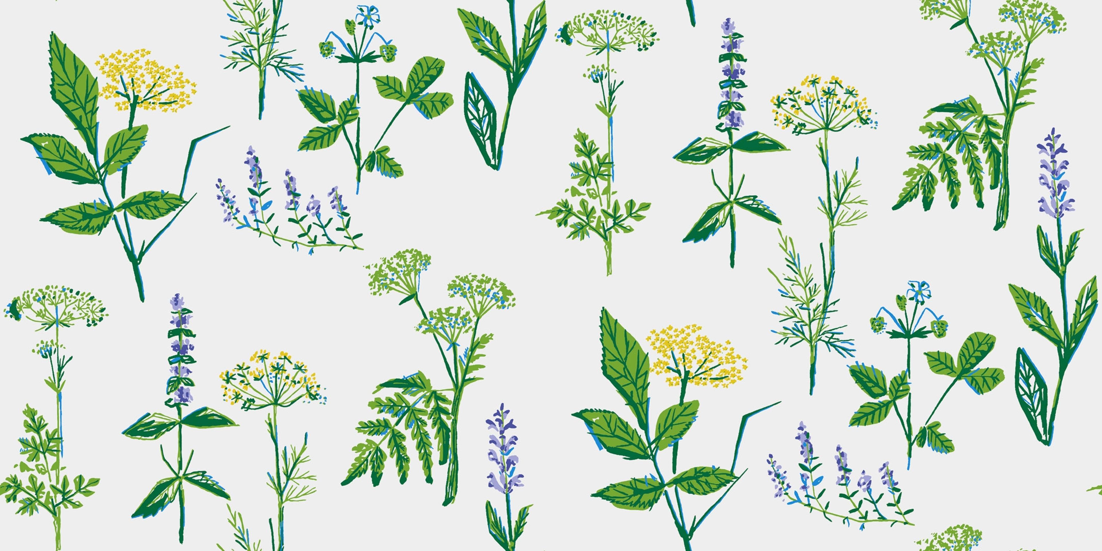 Köksväxter tapet från Boråstapeter med blommigt, retro mönster i vit och grön. Från kollektionen Scandinavian Designers II. Nonwoven-material med förskjuten passning.