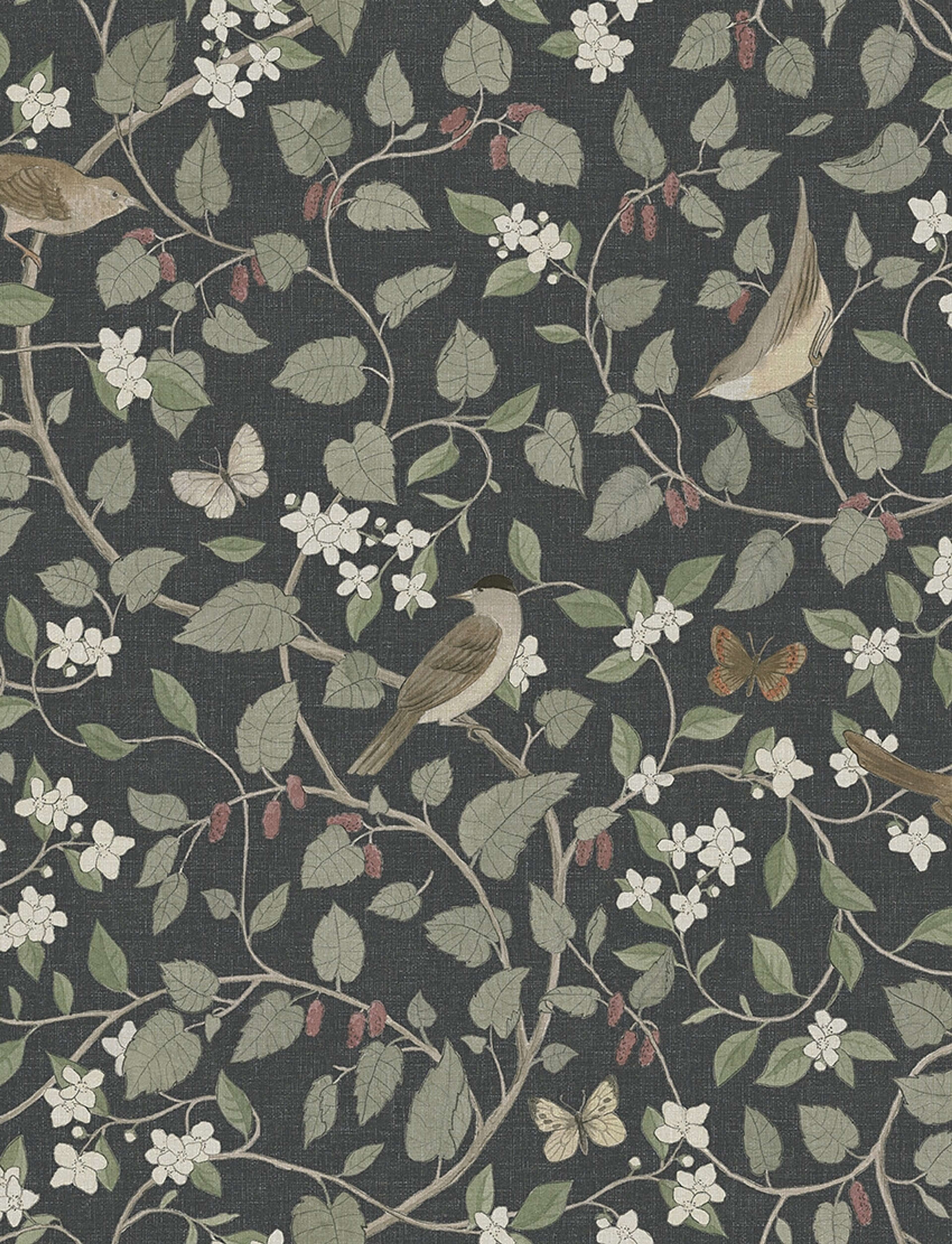 Sångfåglar tapet med djur, botaniskt, blommigt mönster i svart. Från kollektionen specialeditionflowery. Nonwoven-material med förskjuten passning.