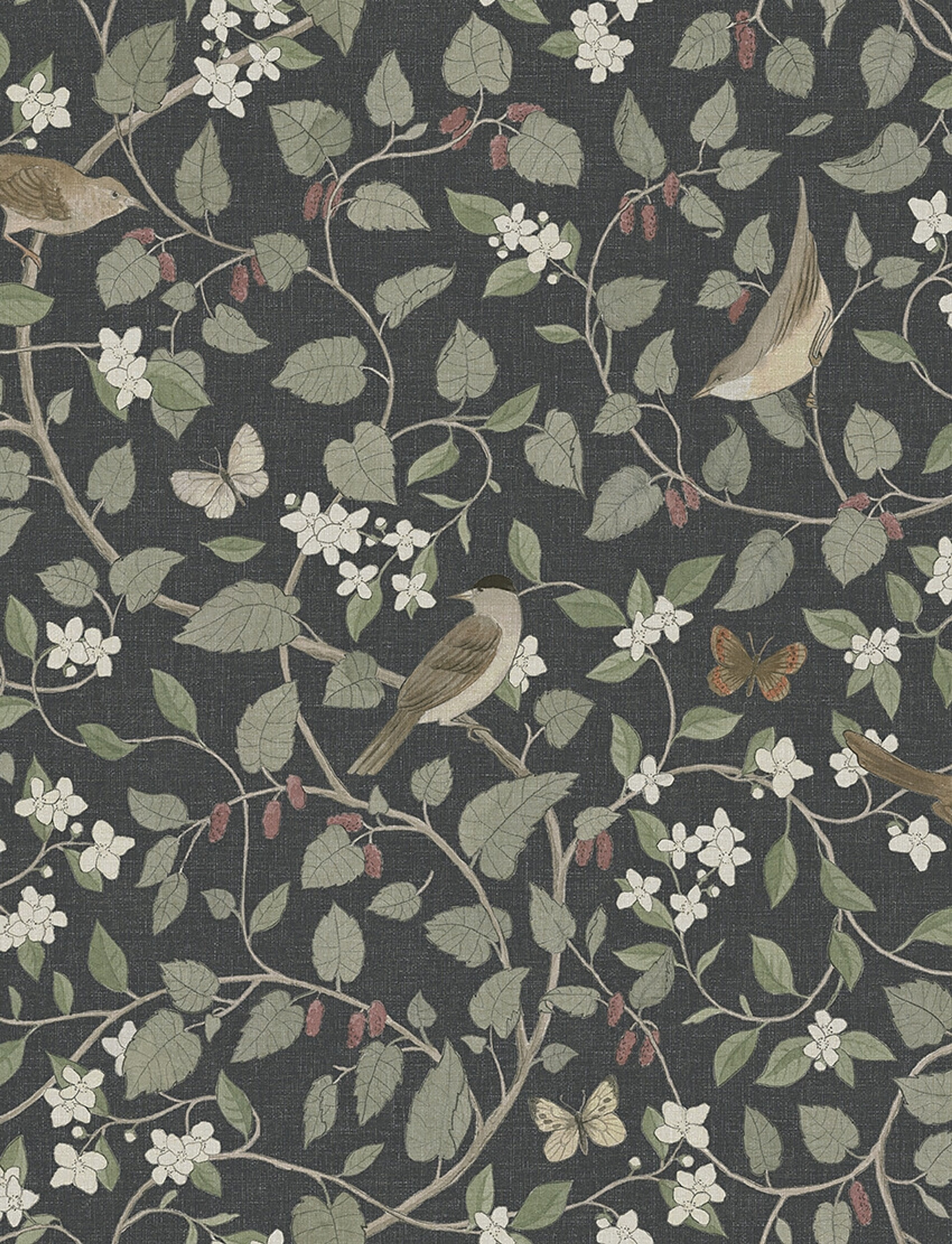 Sångfåglar tapet med djur, botaniskt, blommigt mönster i svart. Från kollektionen specialeditionflowery. Nonwoven-material med förskjuten passning.
