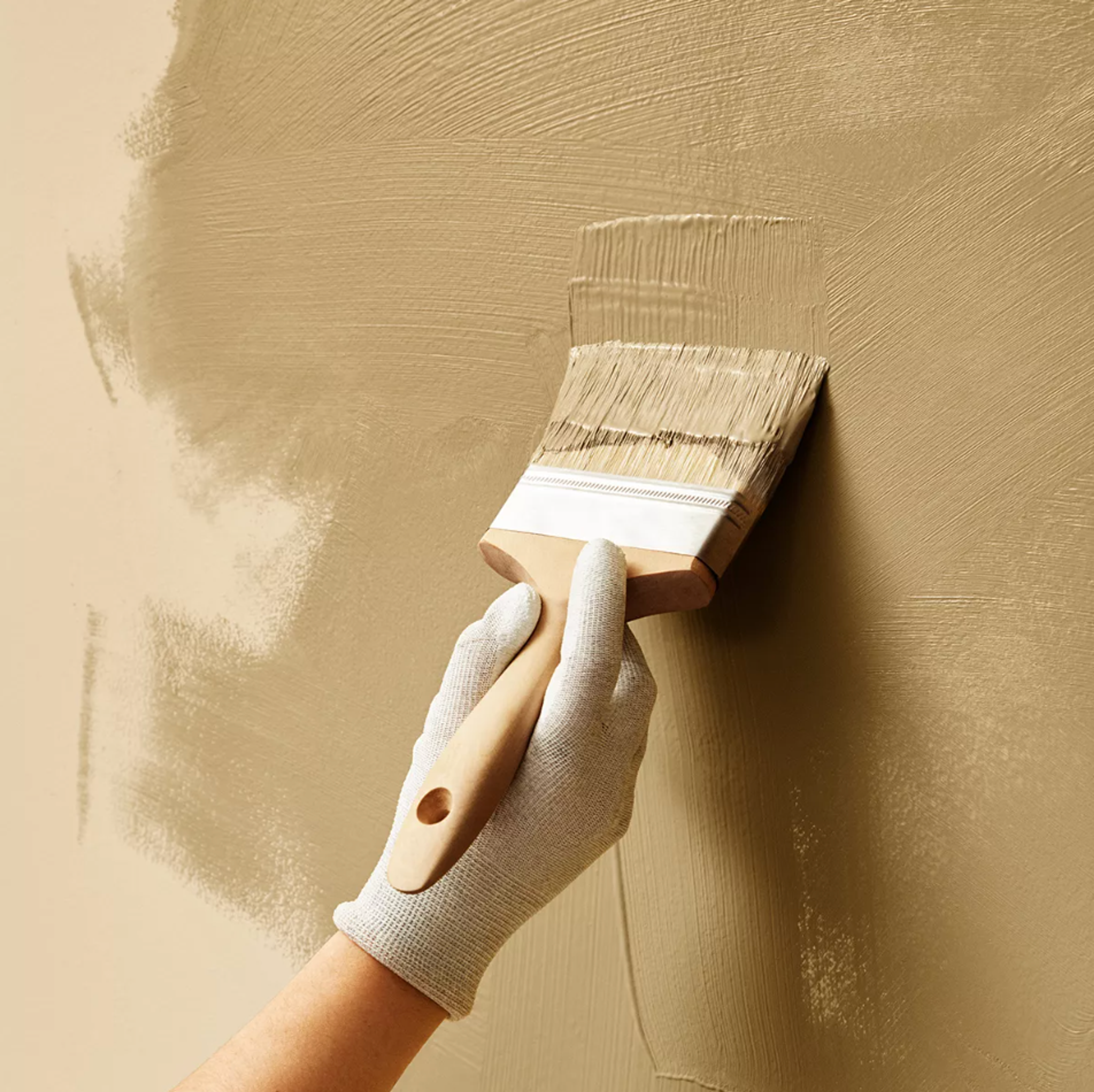 A gloved hand painting a wall beige with a brush.