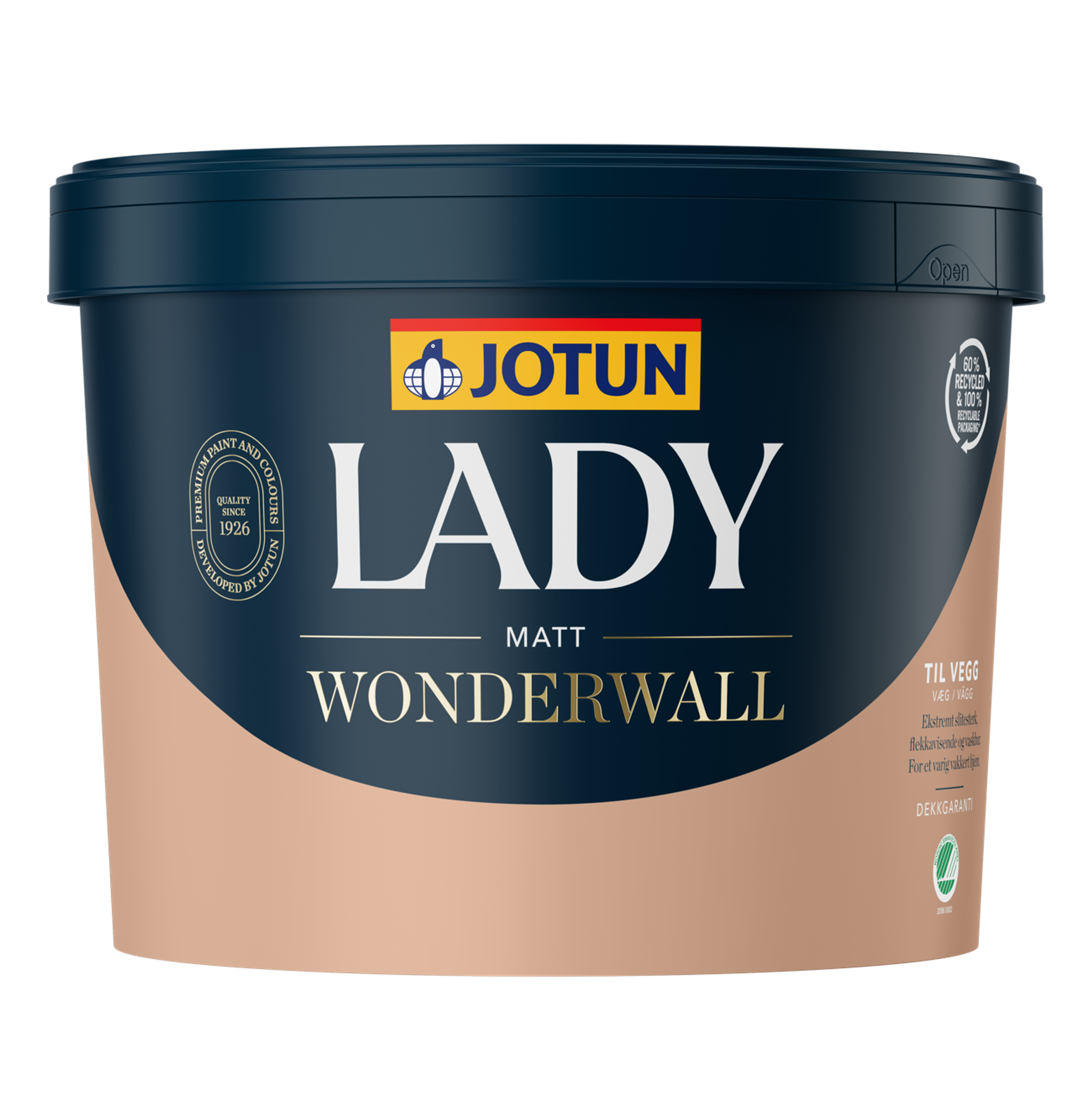 Lady Wonderwall