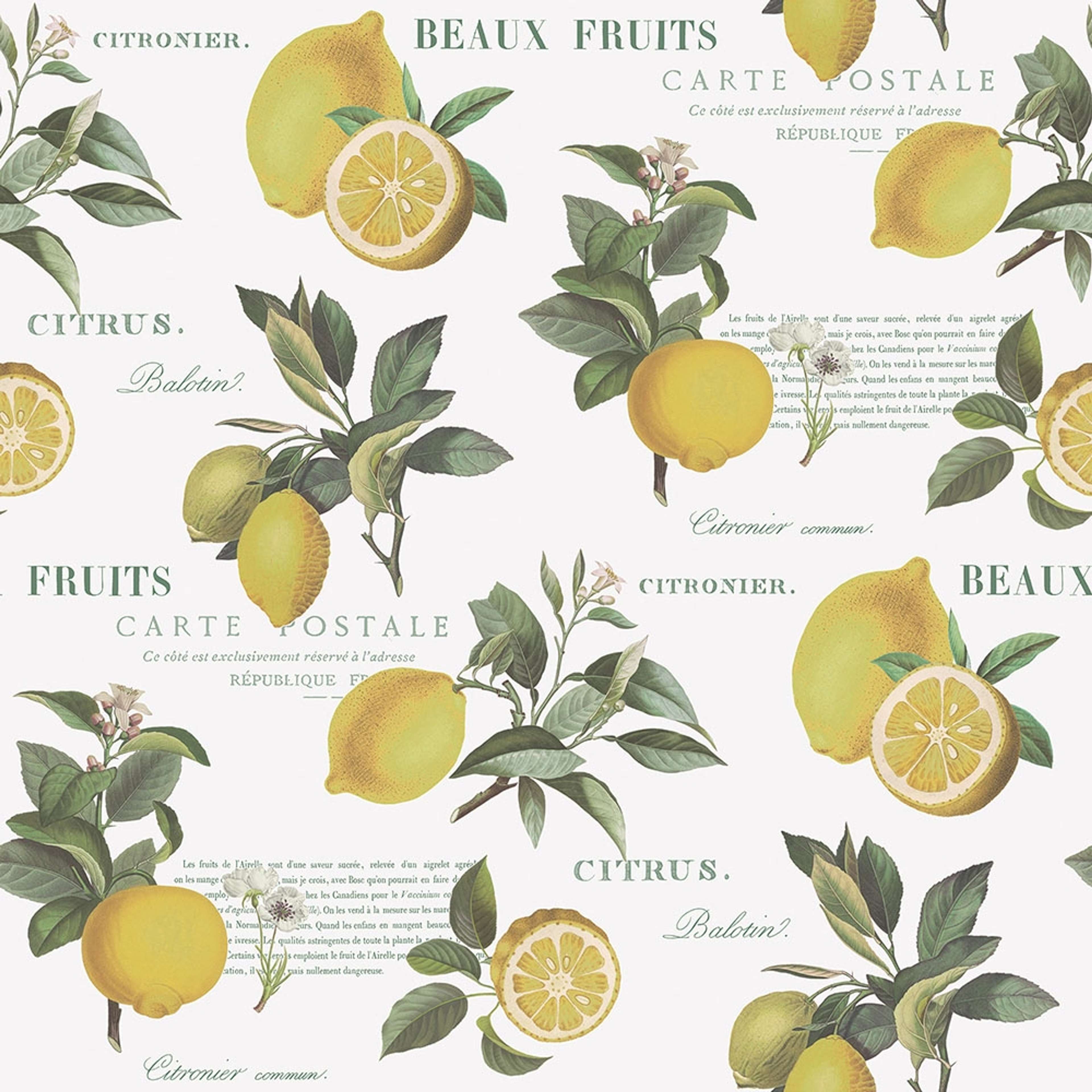 Citron Botanical tapet med text mönster i vit och gul. Från kollektionen Just Kitchens. Nonwoven-material med rak passning.