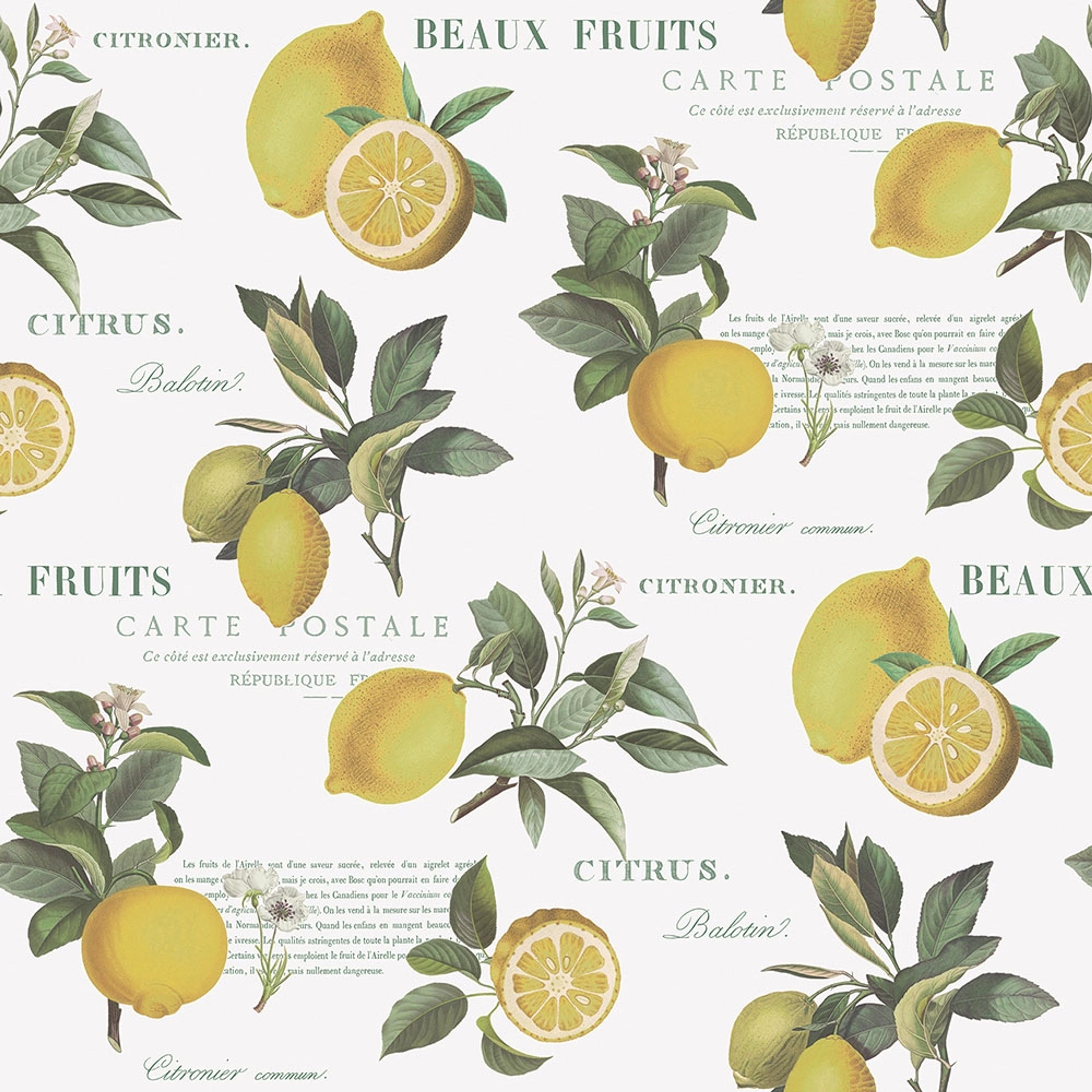 Citron Botanical tapet med text mönster i vit och gul. Från kollektionen Just Kitchens. Nonwoven-material med rak passning.