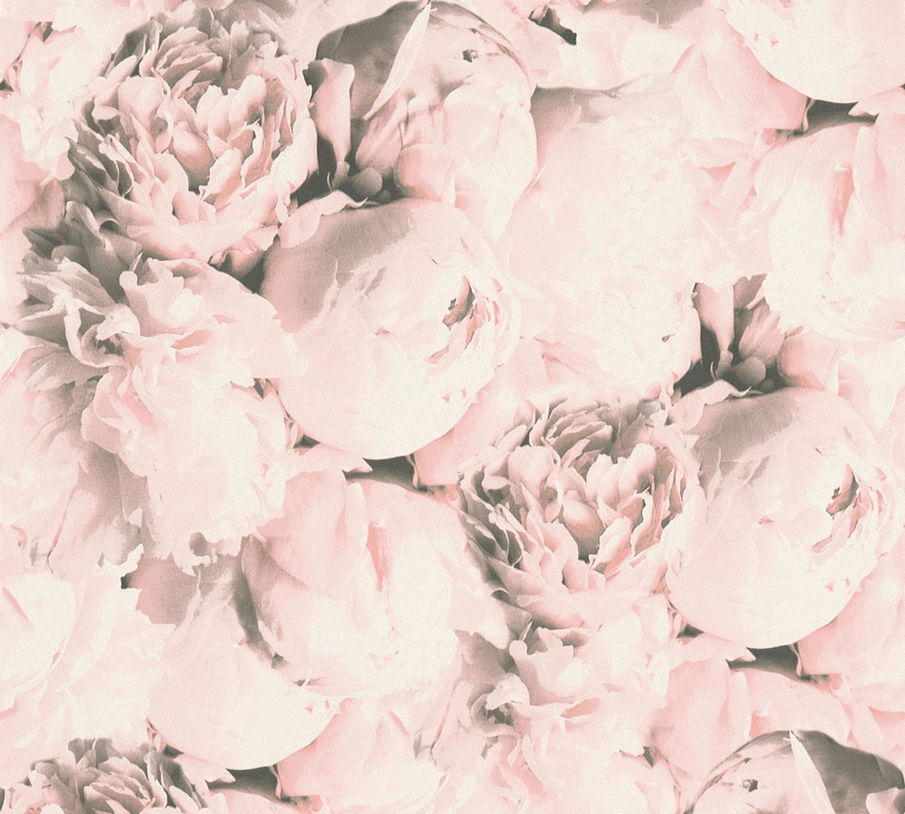 Mia, tapet i ljusrosa tapet med blommigt mönster i rosa. Från kollektionen new studio. Nonwoven-material med rak passning. Passar i vardagsrum och matsal.