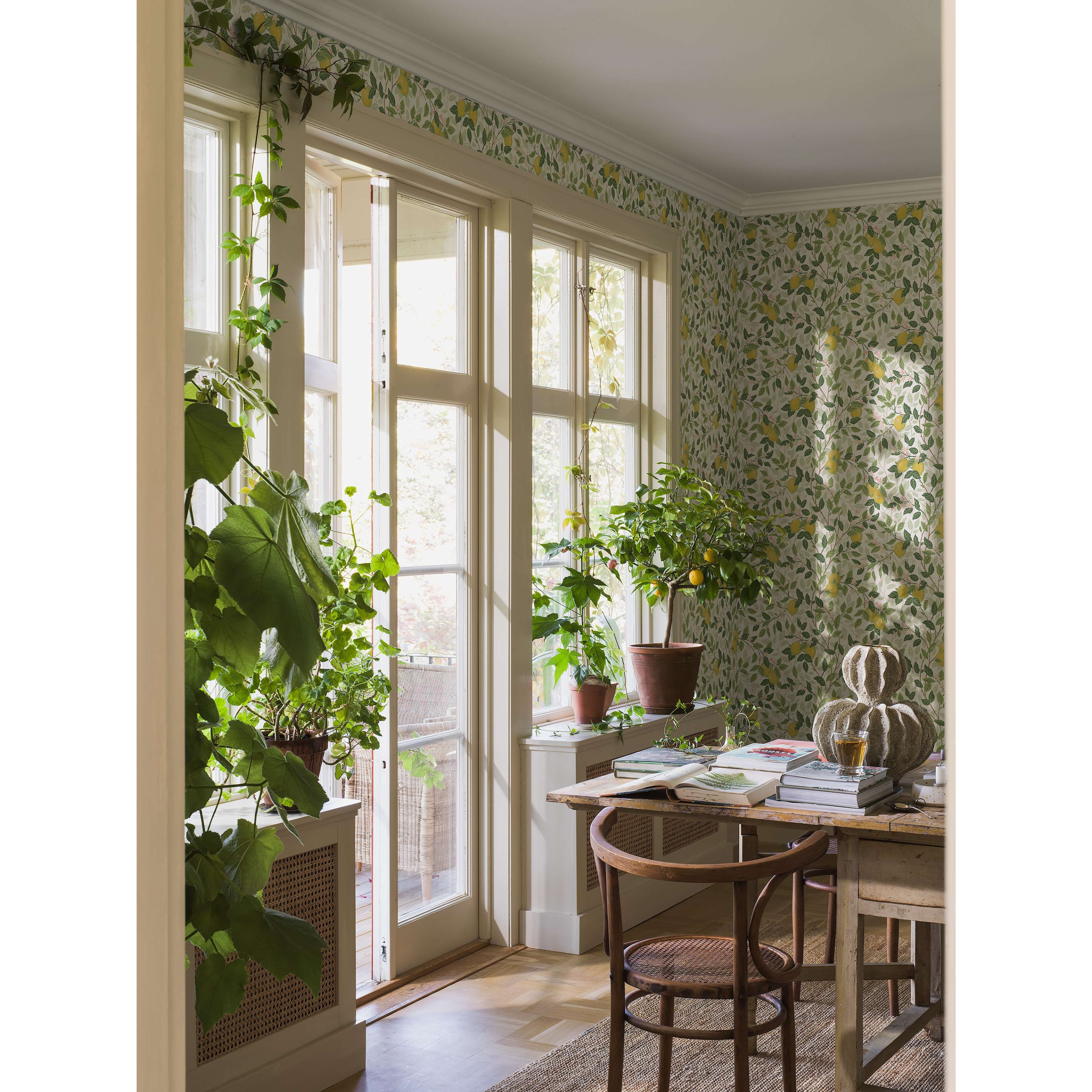 Citronträd vit, tapet tapet med botaniskt mönster i vit. Från kollektionen Orangeri. Nonwoven-material med förskjuten passning. Passar i matsal.