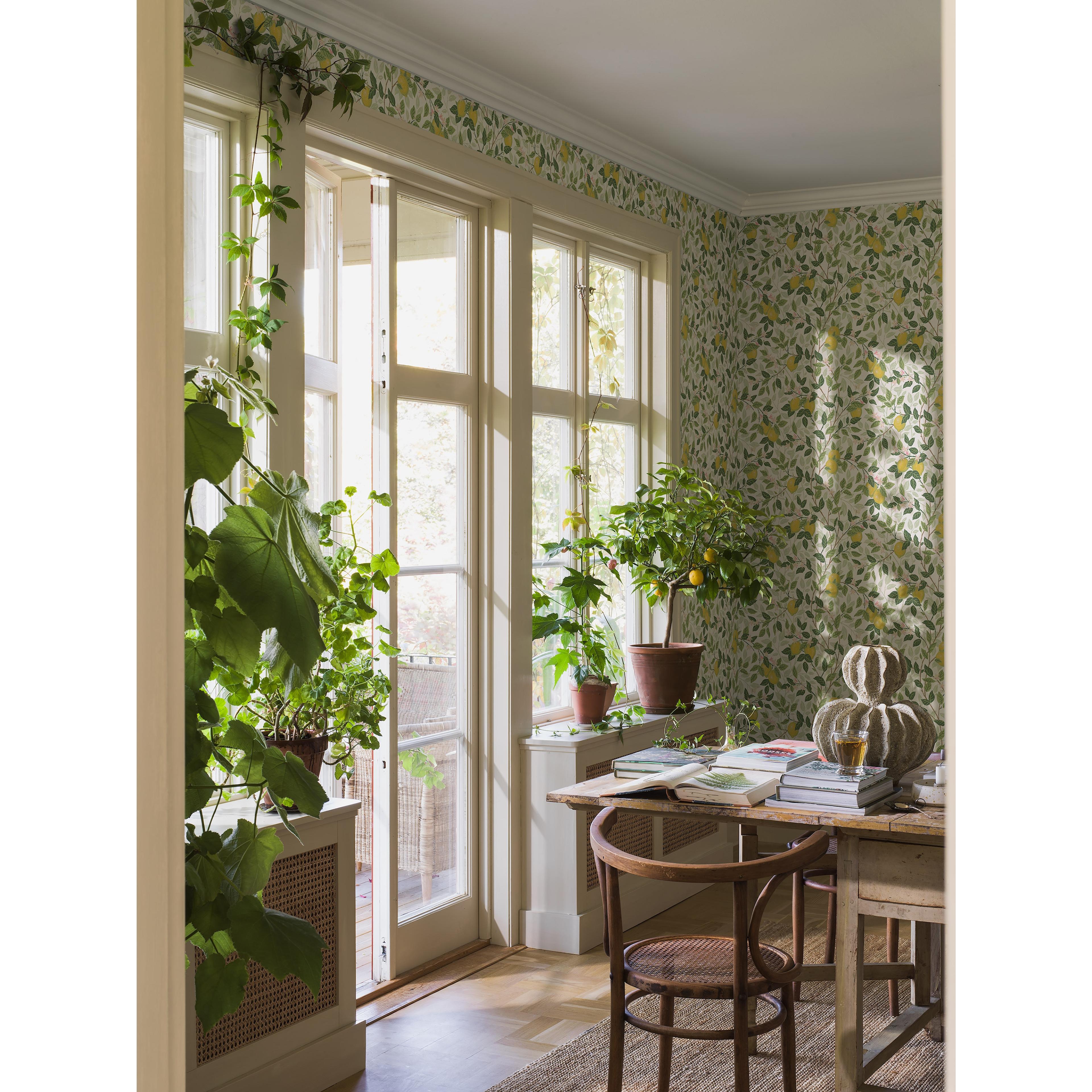 Citronträd vit, tapet tapet med botaniskt mönster i vit. Från kollektionen Orangeri. Nonwoven-material med förskjuten passning. Passar i matsal.