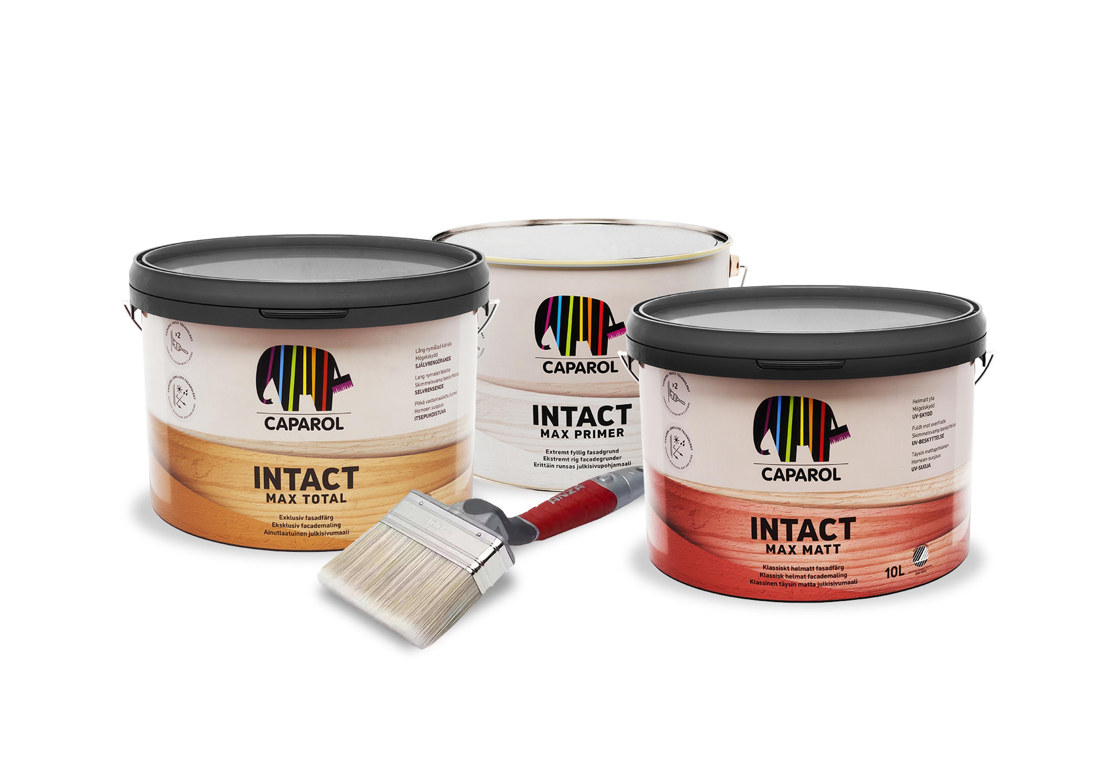 Three Caparol Intact paint cans (Max Total, Max Matt, Max Primer) and a paintbrush.