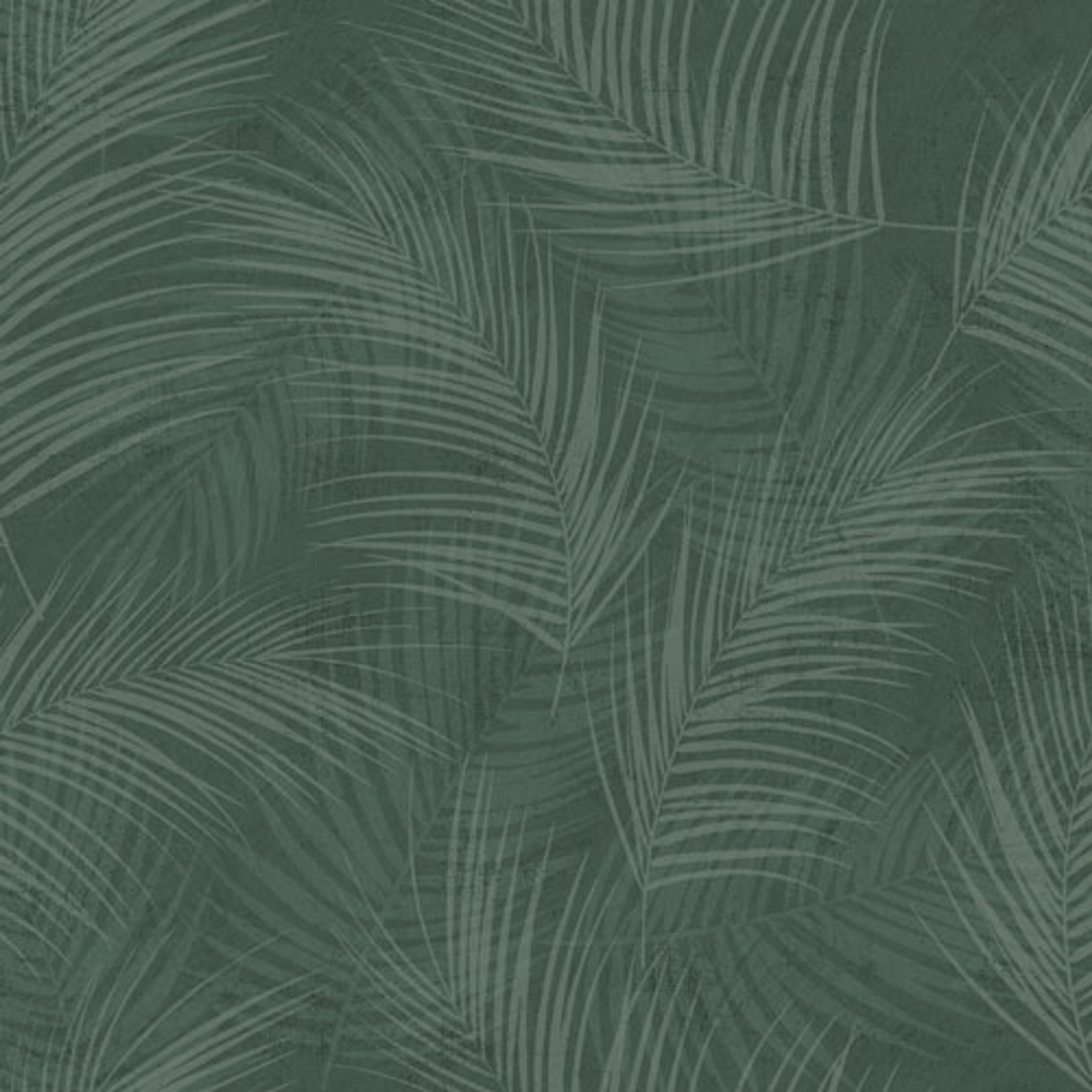 Palma tapet från Midbec med botaniskt mönster i grön. Från kollektionen Palma. Nonwoven-material med förskjuten passning. Passar i tonårsrum, kök och arbetsrum.