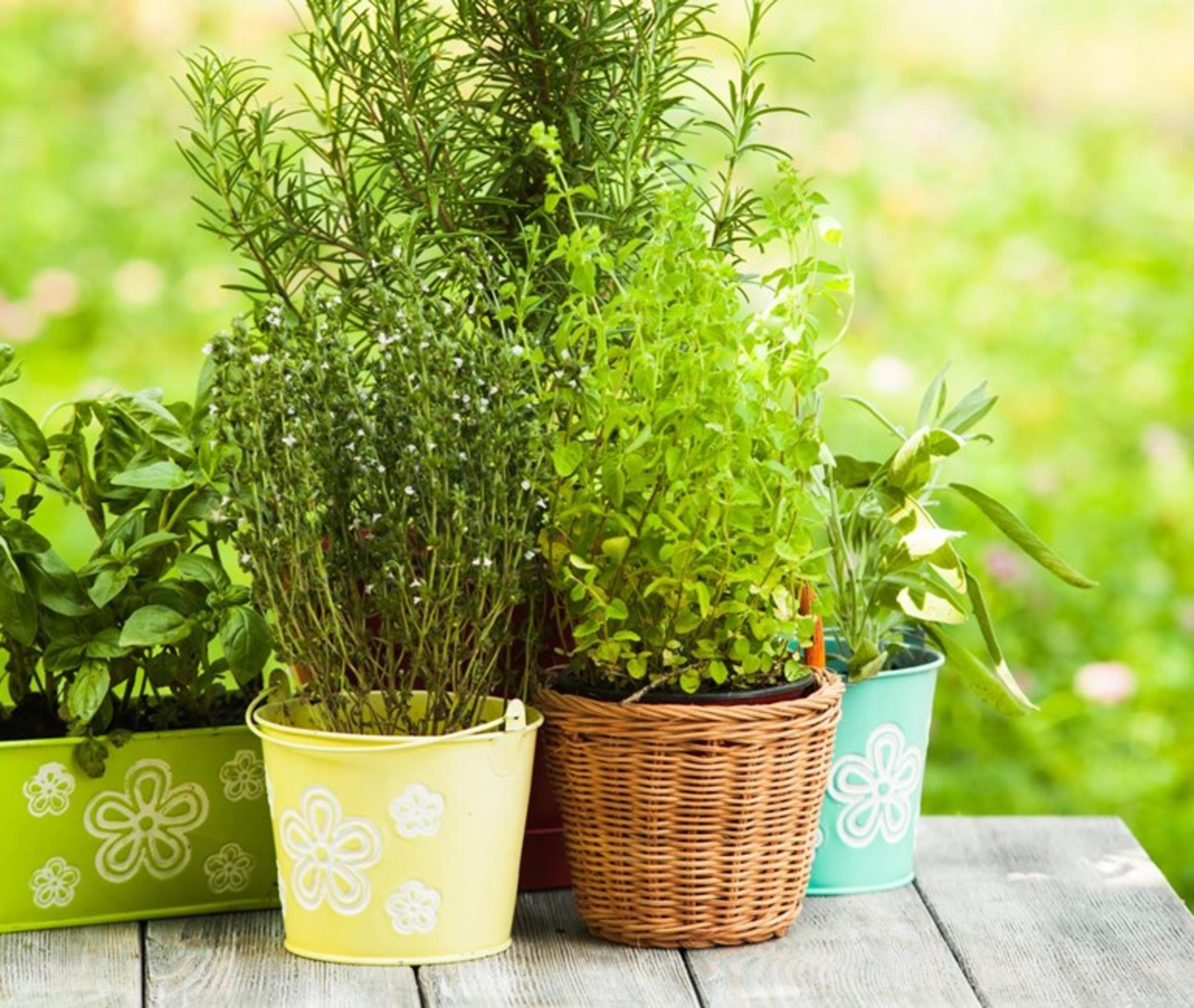 Planter