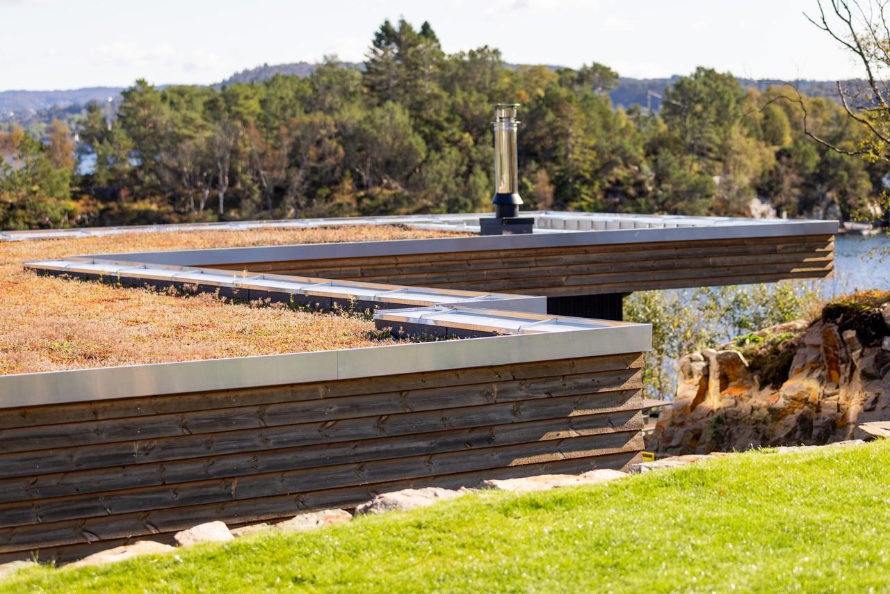 Det grønne taket bidrar tilbake til naturen og til biemangfoldet.