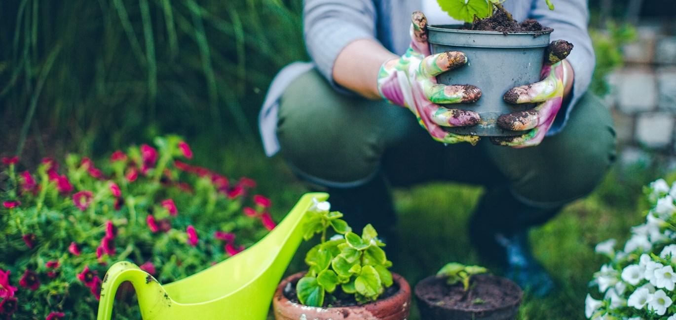 Planter