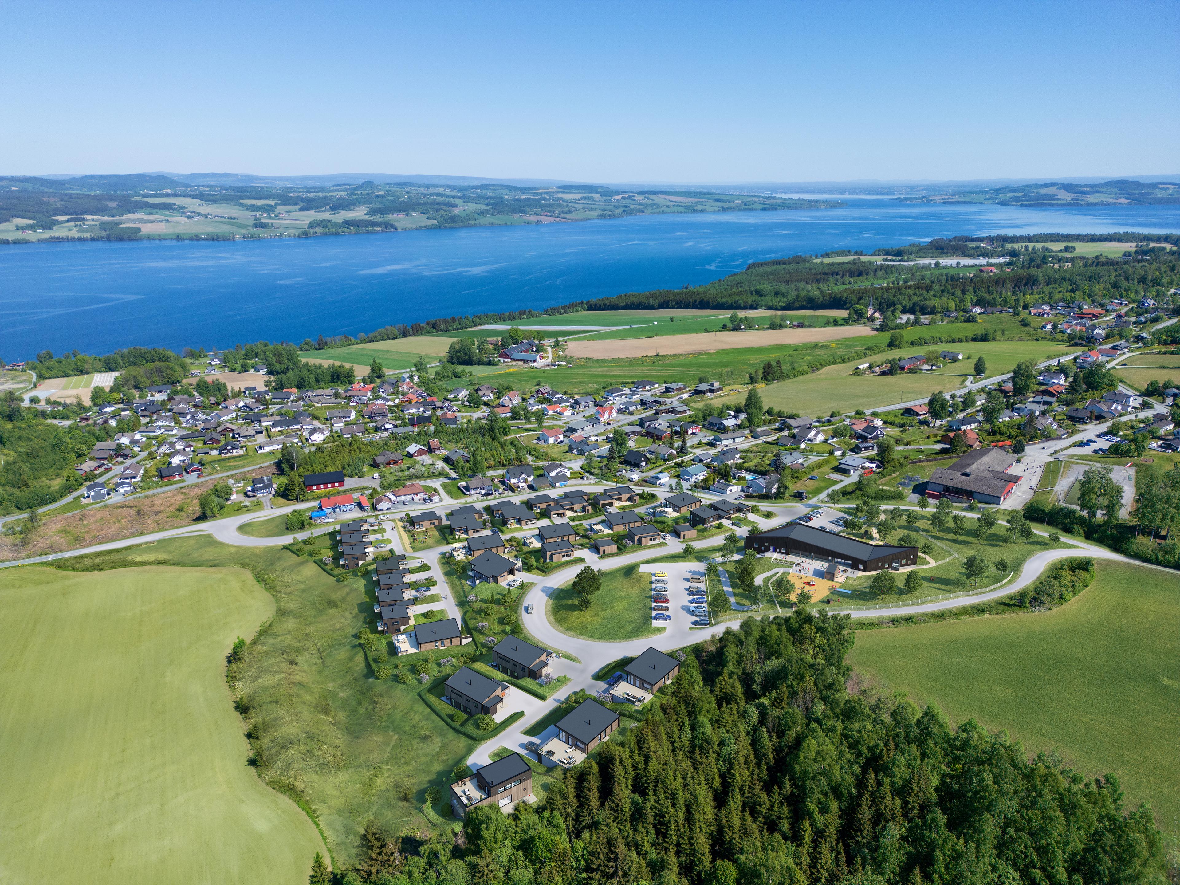 3D illustrasjon Nordlifeltet