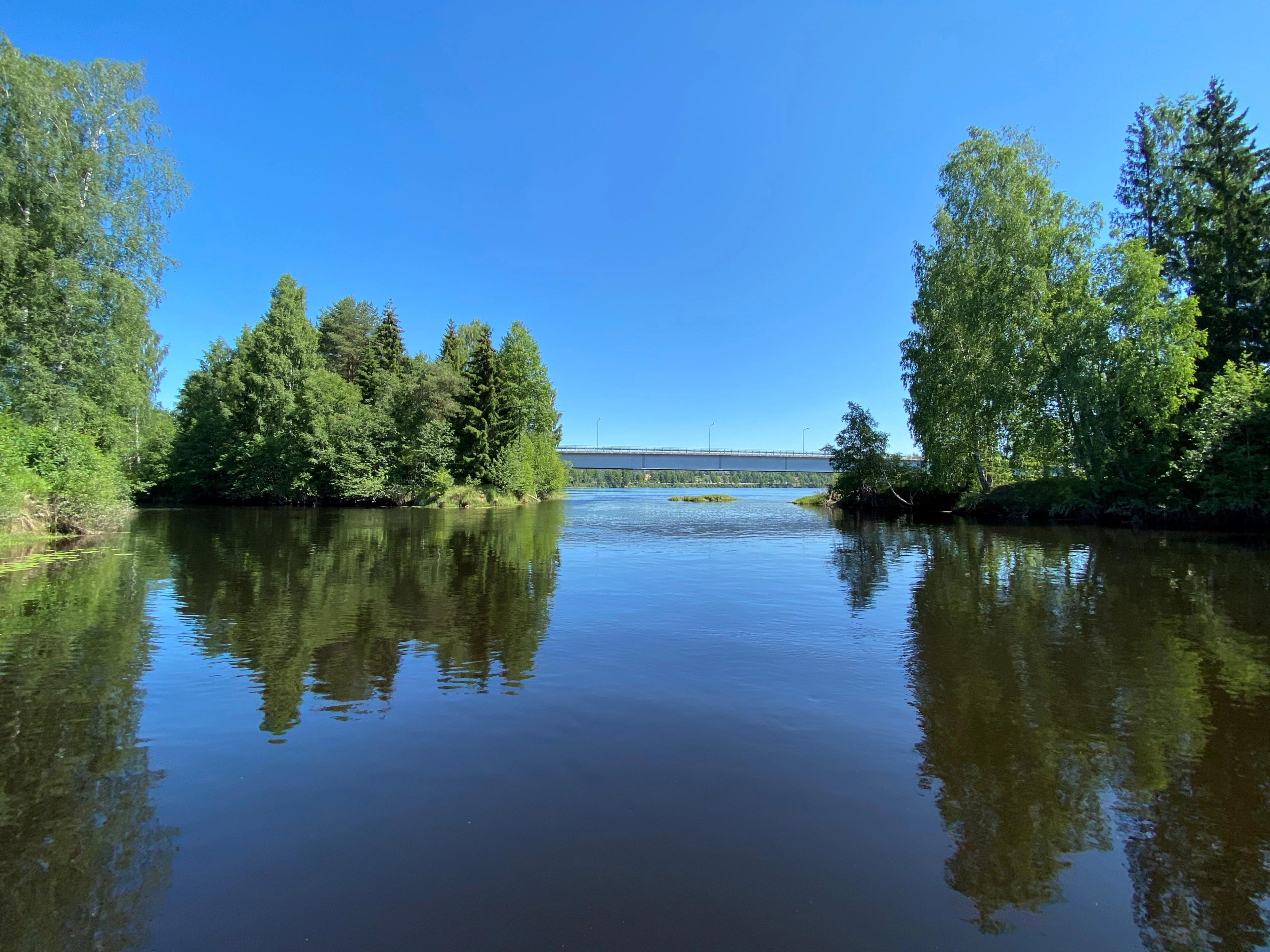 Bilde fra utsiktspost ved Glomma