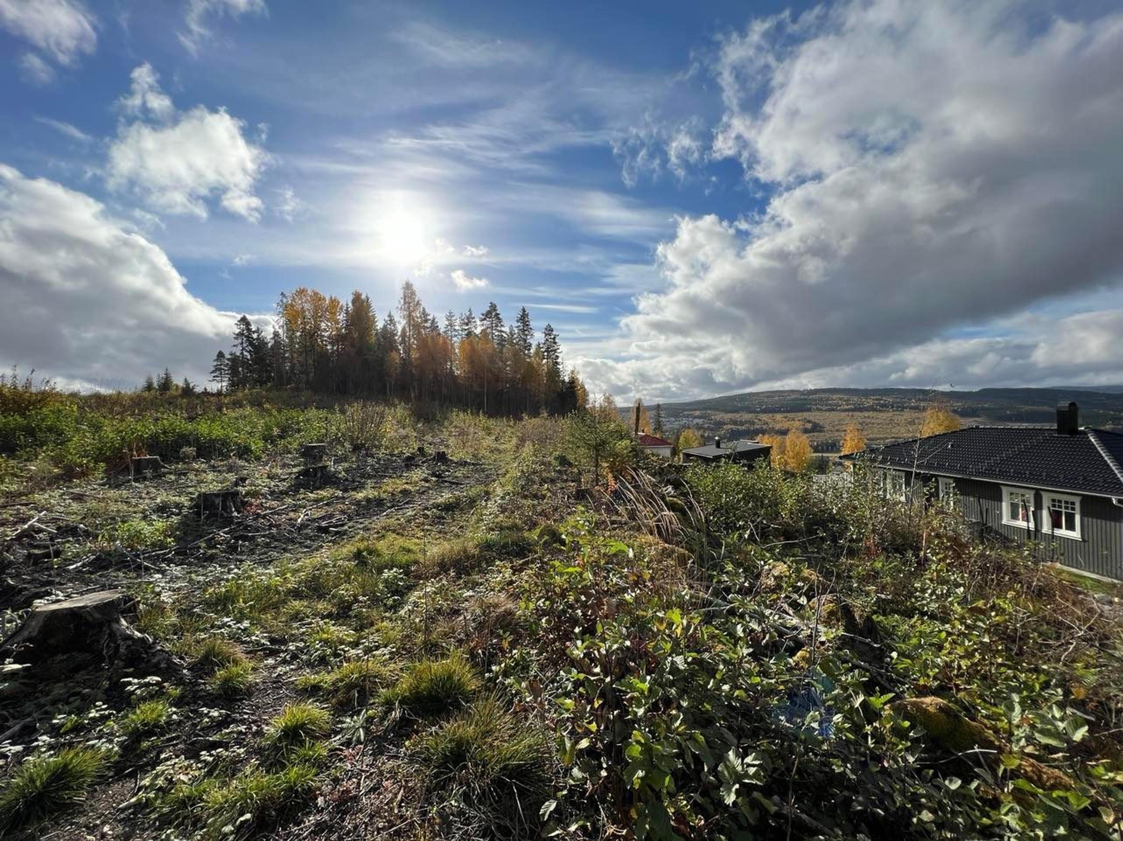 Tomt med utsikt mot fjell.